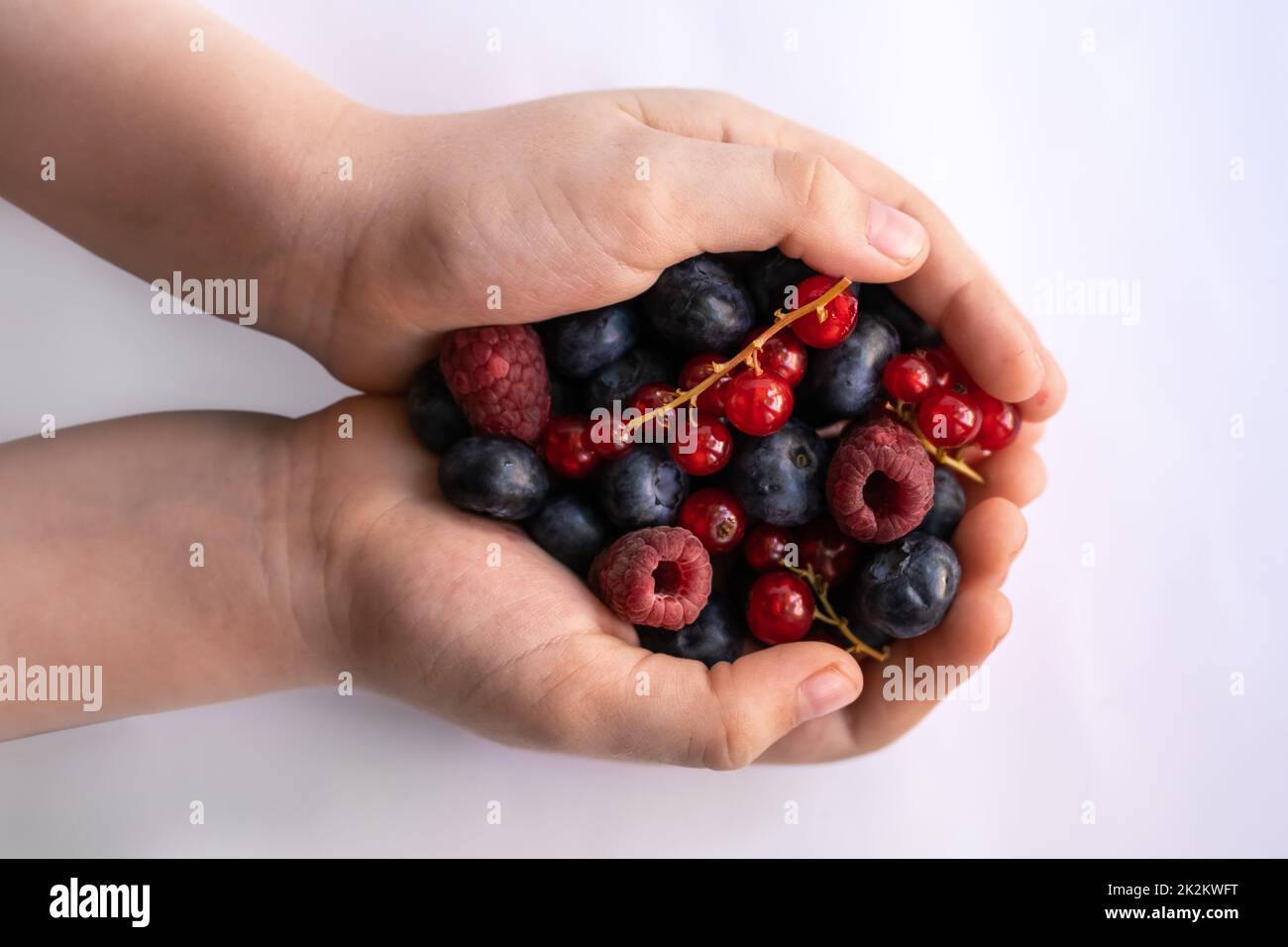 Die Hände der Kinder halten die Sommerbeeren fest Stockfoto