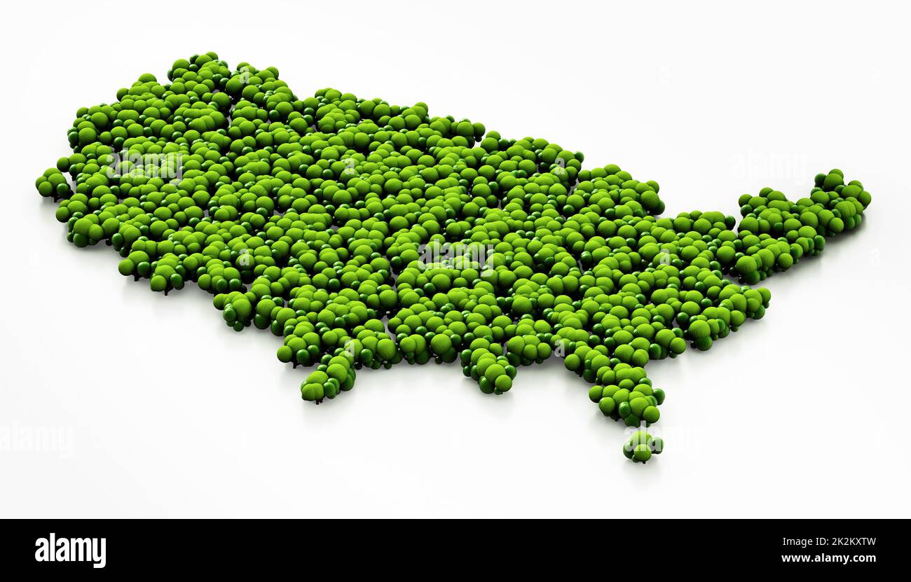 Karte der USA mit einfachen Bäumen. 3D Abbildung Stockfoto
