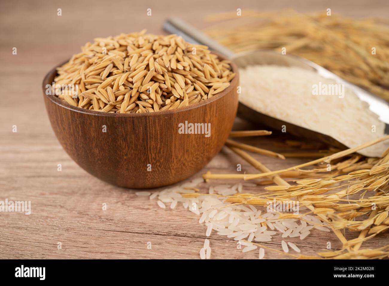 Jasmin weißer Reis in Holzschale mit Goldkorn aus Landwirtschaft. Stockfoto