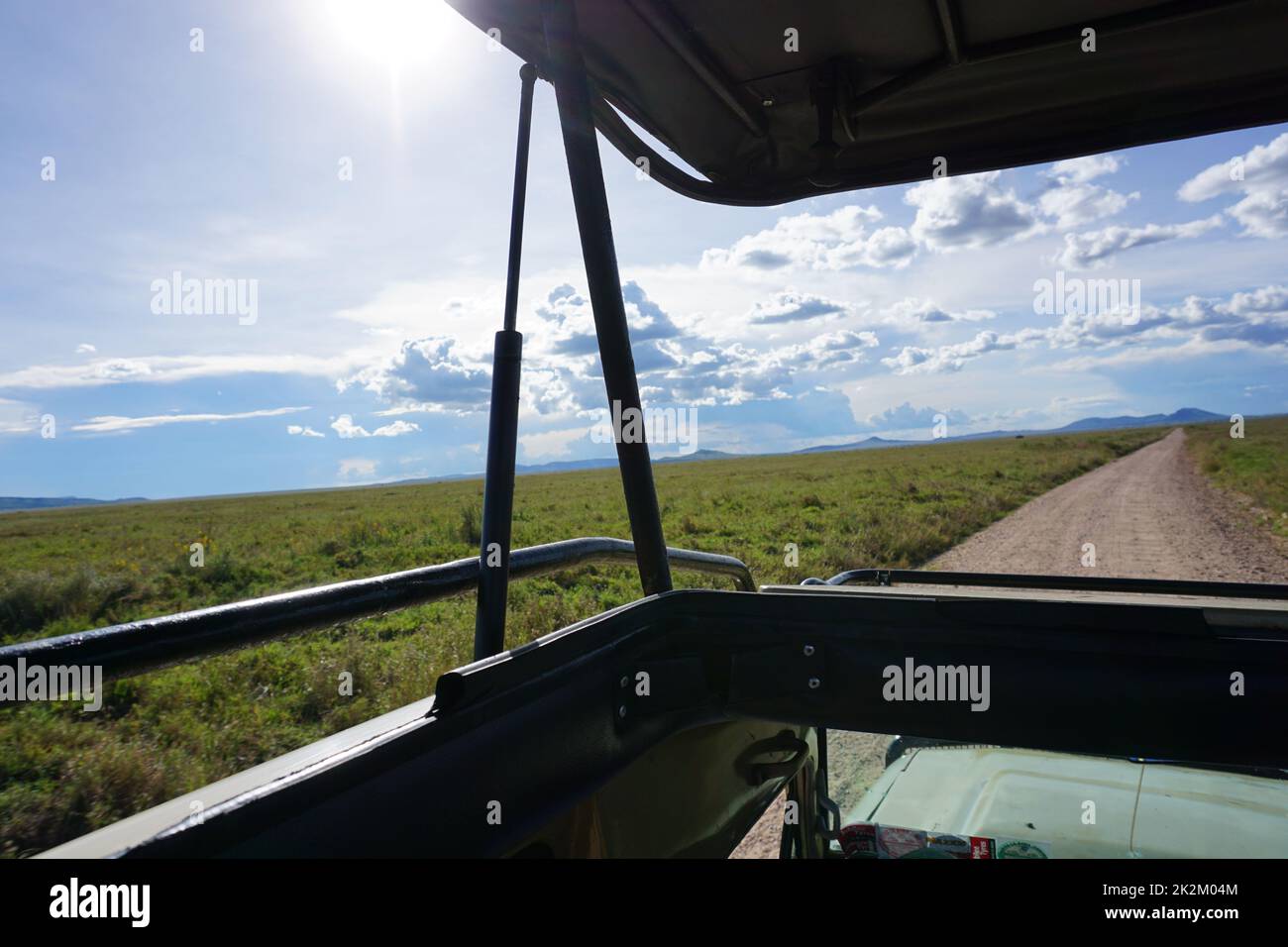 Safari in der Serengeti mit offenem Dach unseres Geländewagens Stockfoto