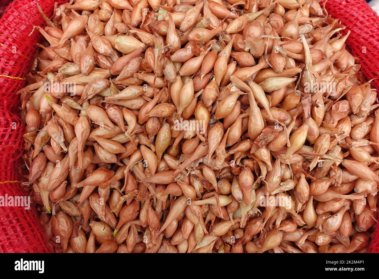 Unverpackte Schalotten, die in Stoffsäcken in Saatgutläden verkauft werden, Schalottensamen, die im Garten gepflanzt werden können Stockfoto