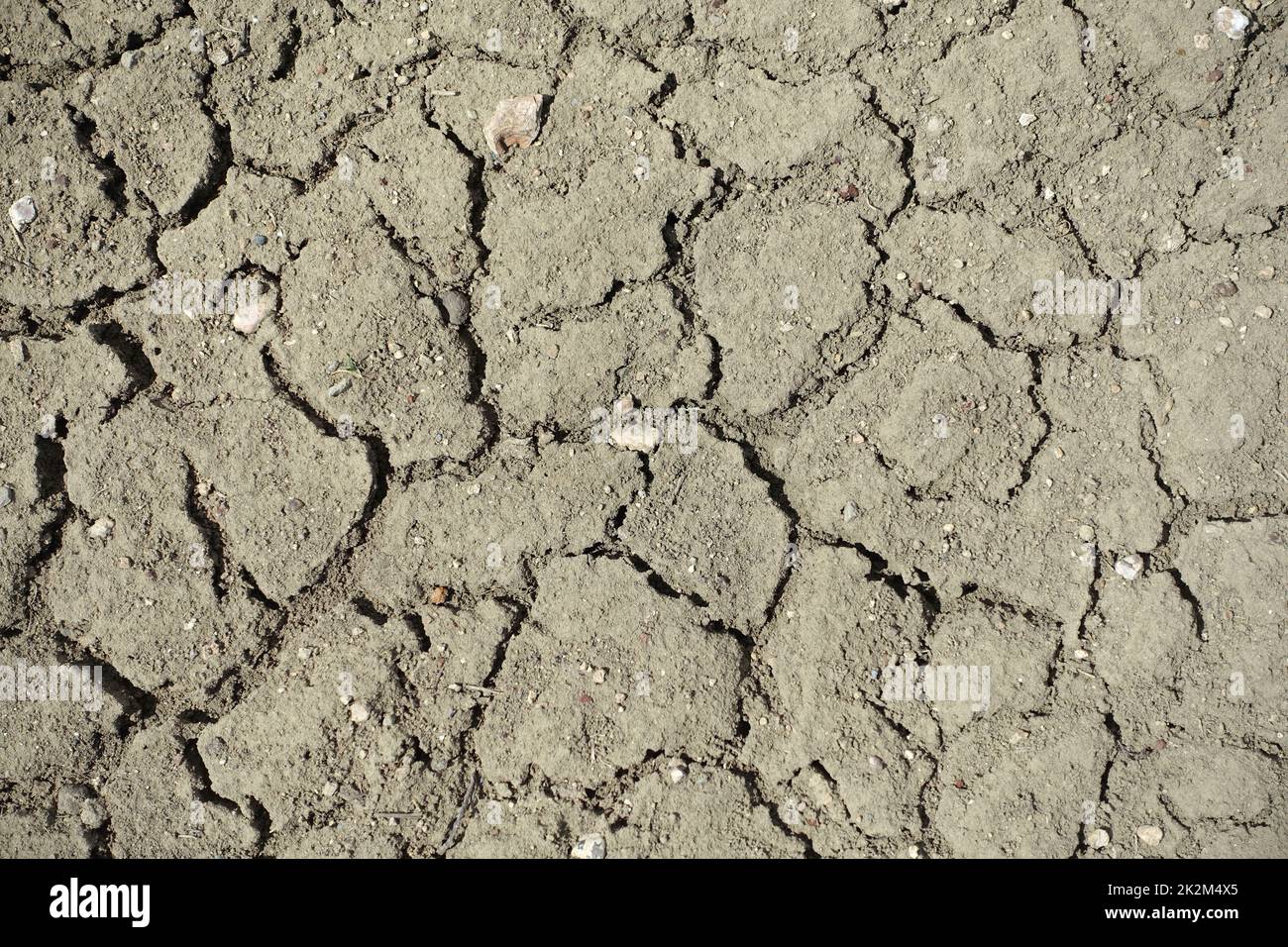 Risse und Spalten von Böden aufgrund von Dursterosion und Dürre ...