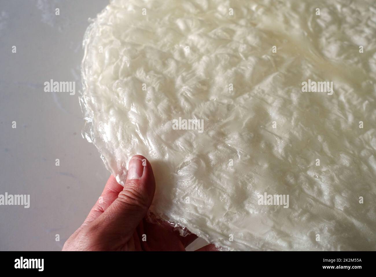 Trockene Desserts GÃ¼llaÃ, osmanische Desserts GÃ¼llaÃ GÃ¼llaÃ Ramadan Stockfoto