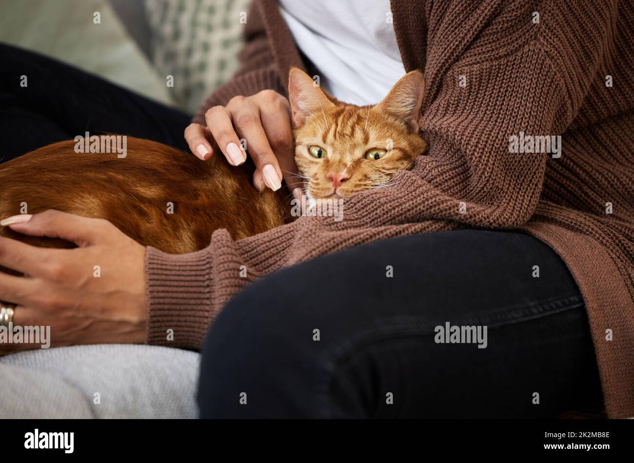 So fühlt man sich wie zu Hause an. Aufnahme einer jungen Frau, die sich zu Hause mit ihrer Katze anklebte. Stockfoto