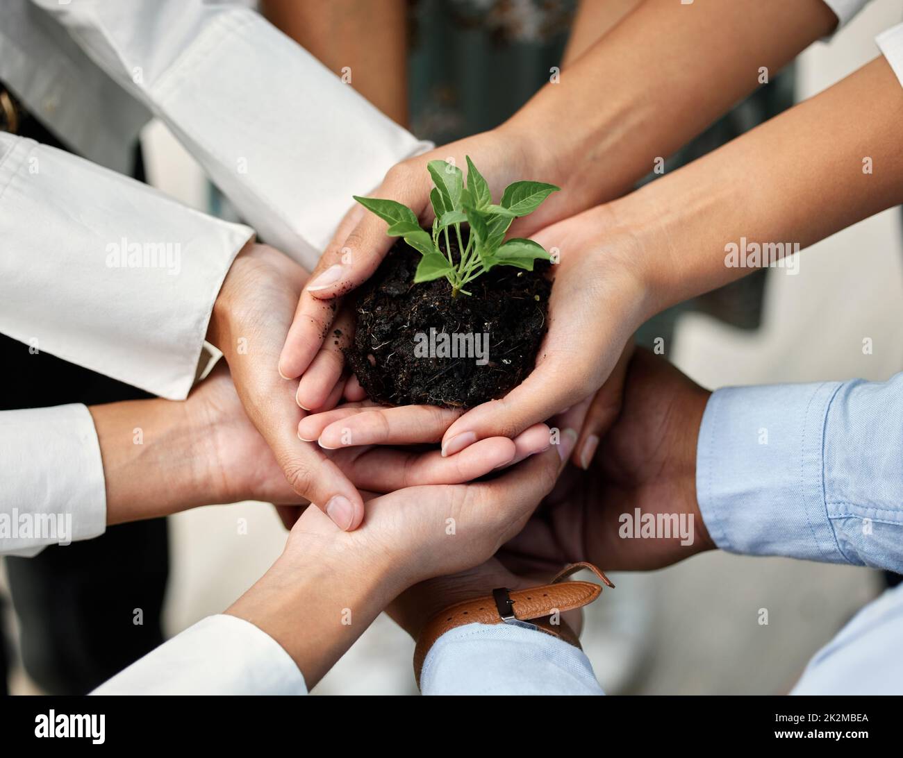 Wachstum fördern. Eine Aufnahme einer Gruppe von nicht erkennbaren Geschäftsleuten, die in ihrem Büro in einer angehenden Fabrik stehen. Stockfoto