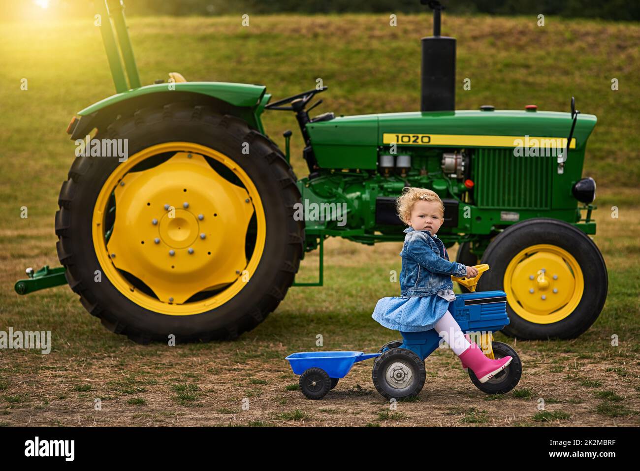Ich fuhr Traktoren, bevor Sie Ihre Trainingsräder abhoben. Porträt eines entzückenden kleinen Mädchens, das auf einem Spielzeugauto auf einer Farm reitet. Stockfoto