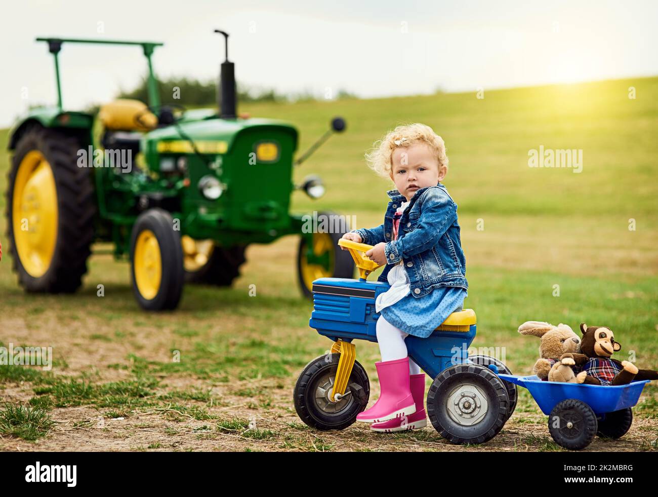 Ja, auch Mädchen fahren Lastwagen und Traktoren. Porträt eines entzückenden kleinen Mädchens, das ausgestopfte Tiere in einem Spielzeugauto um einen Bauernhof herumfährt. Stockfoto