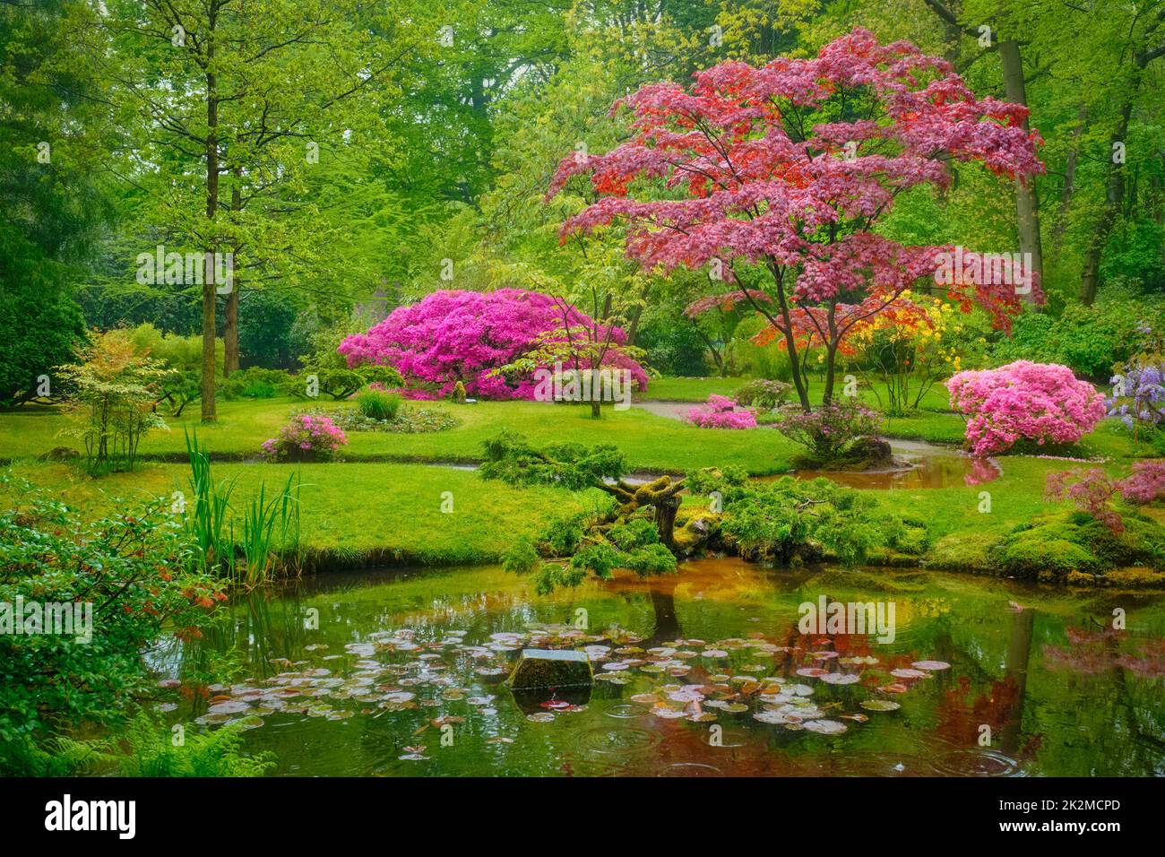 Japanischer Garten, Park Clingendael, Den Haag, Niederlande Stockfoto