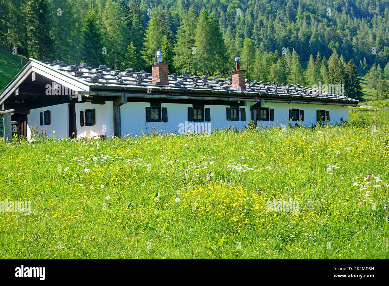 Bayern, Chiemgau-Alpen, Alpenhütte, Blumenwiesen Stockfoto