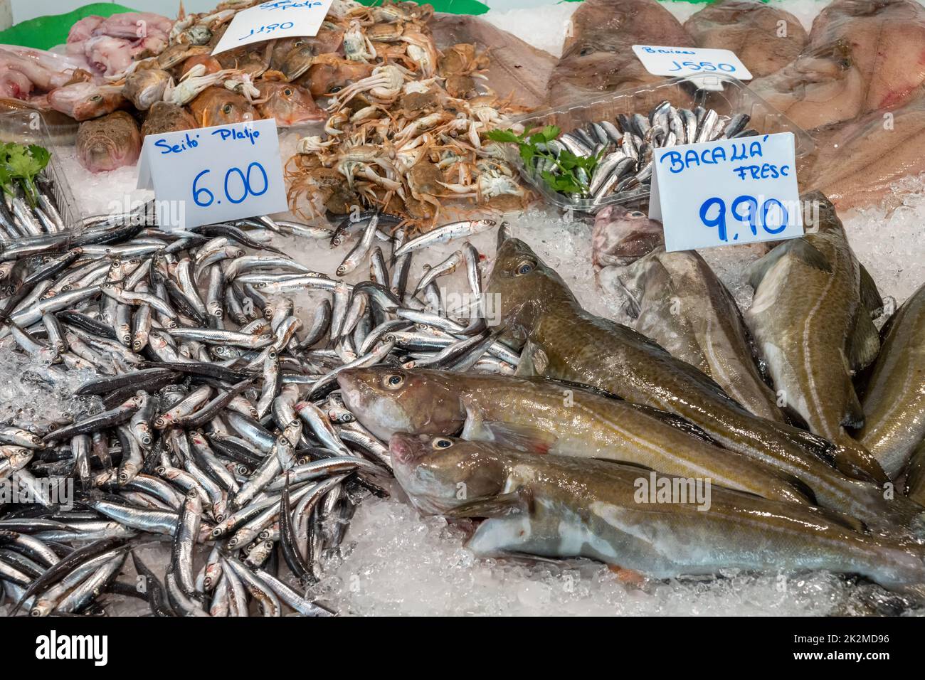 Sardinen, Kabeljau und Meeresfrüchte zum Verkauf auf einem Markt in Barcelona Stockfoto