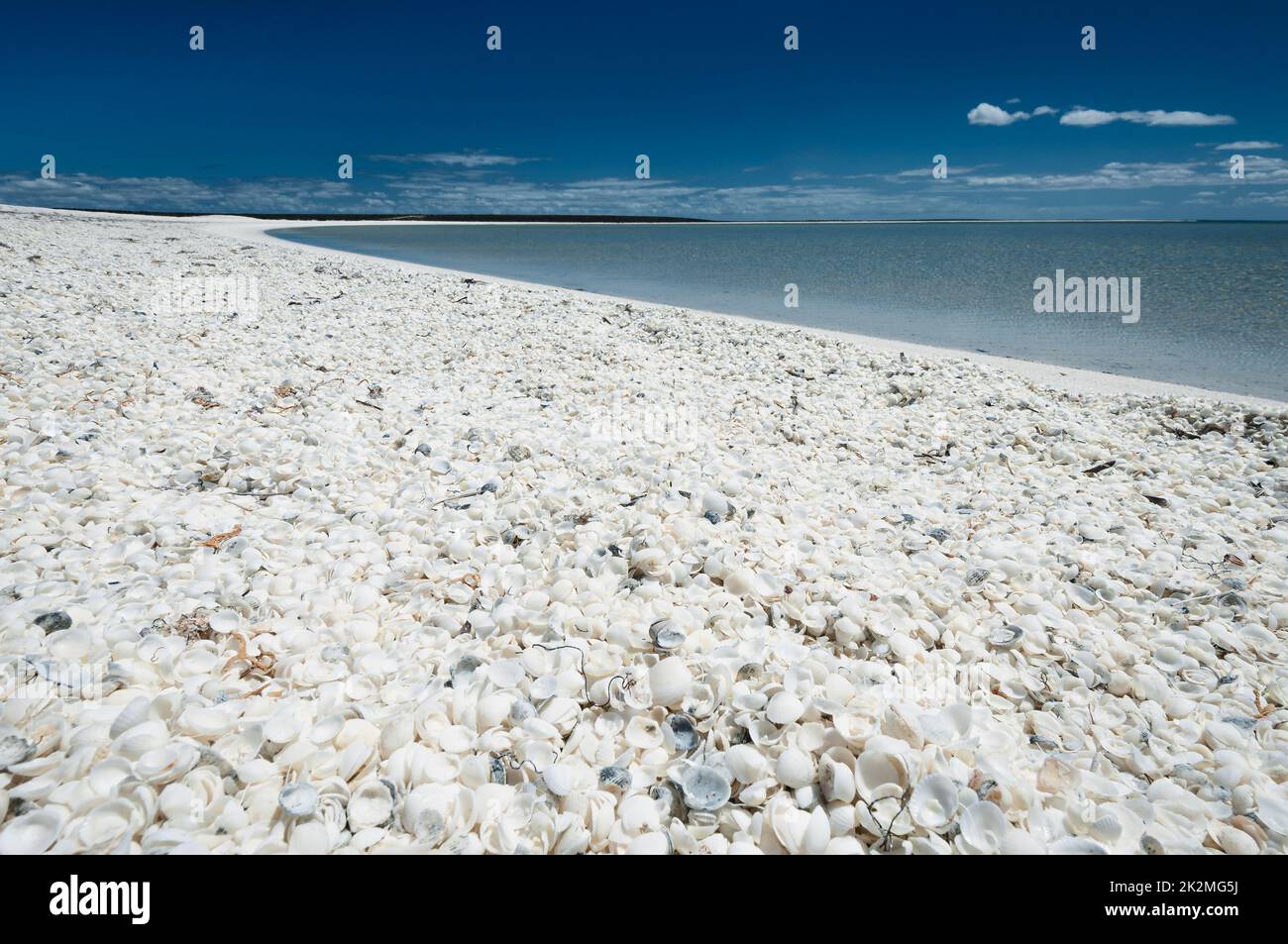 Herausragender Shell Beach in Shark Bay. Stockfoto
