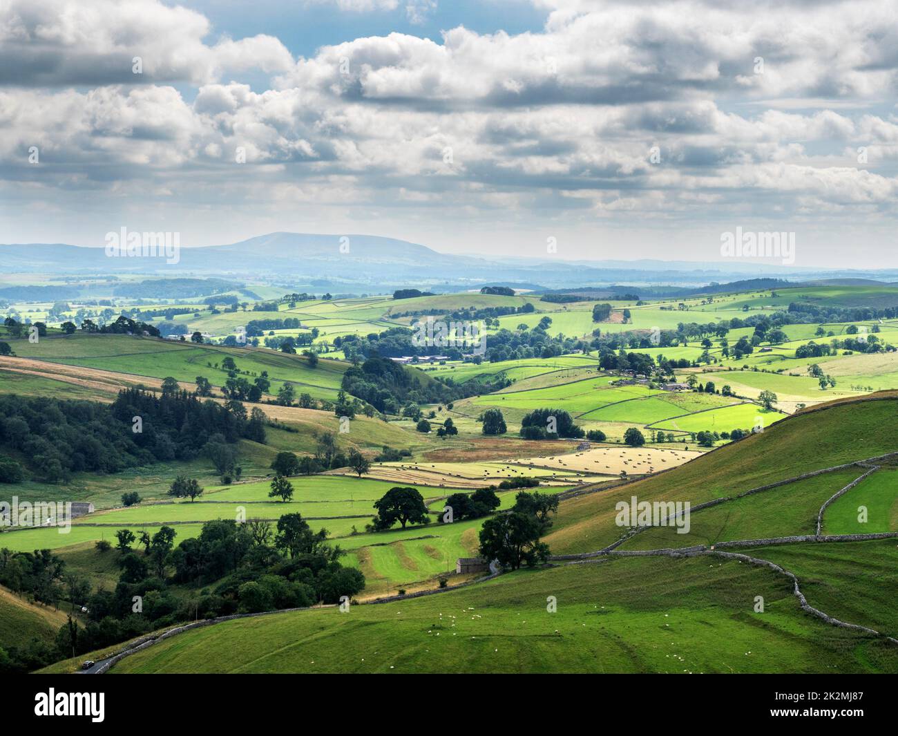 Helle Sommerwiesen in Malhamdale mit Blick auf den Pendle Hill am Horizont Yorkshire Dales North Yorkshire England Stockfoto