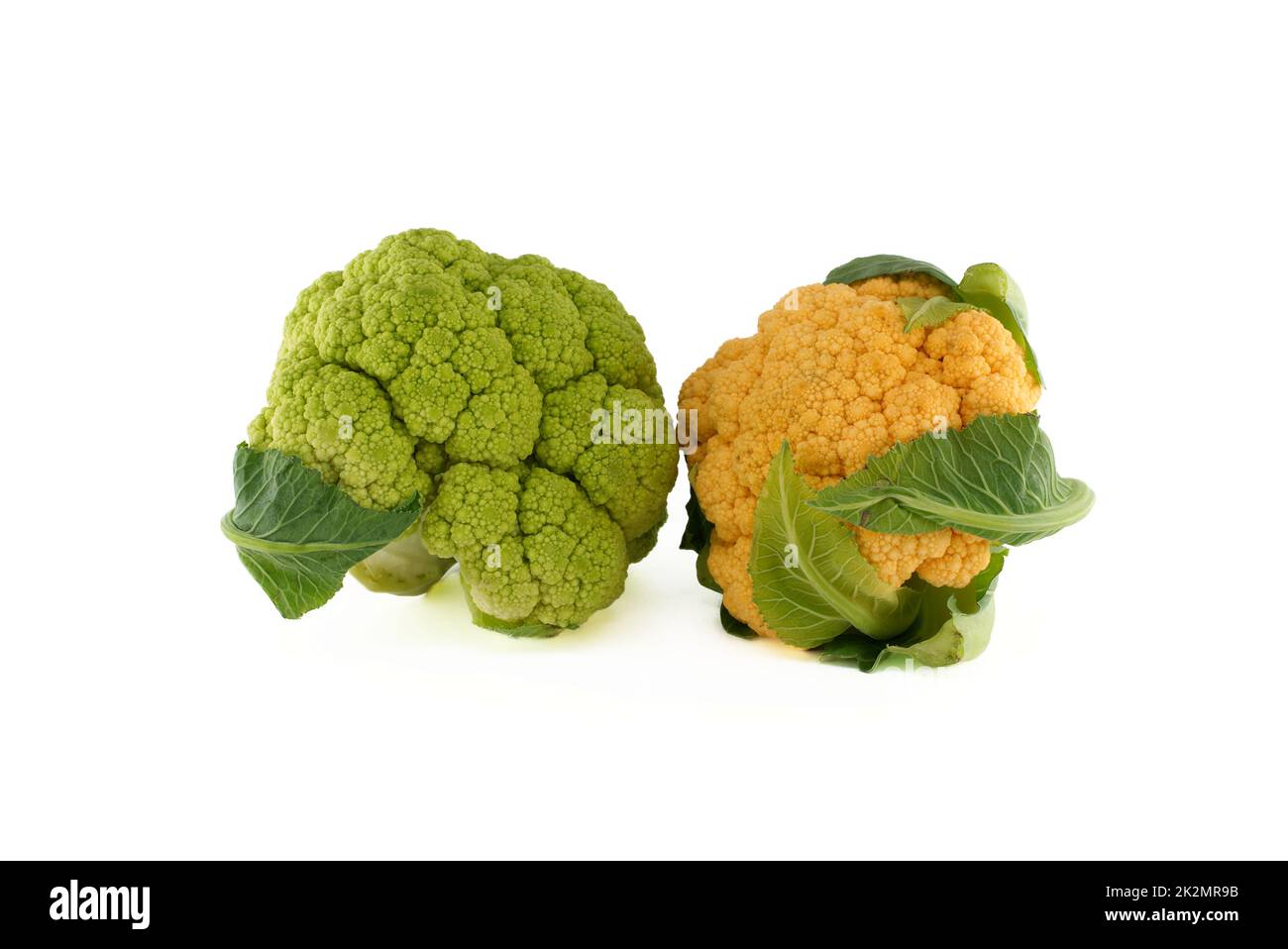 Farbenfroher Blumenkohl auf Weiß Stockfoto