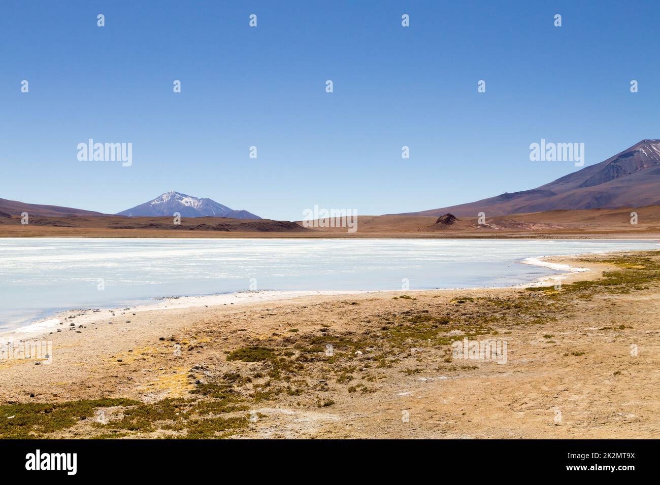 Laguna Hedionda Blick, Bolivien Stockfoto