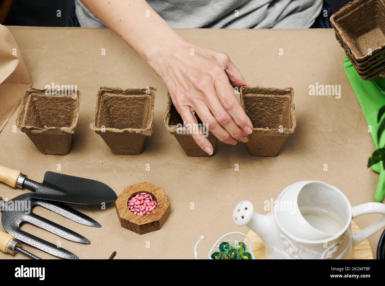 Frau zu Hause mit Pappbechern zum Pflanzen von Pflanzen und Gemüse. Hobby und Freizeit Stockfoto