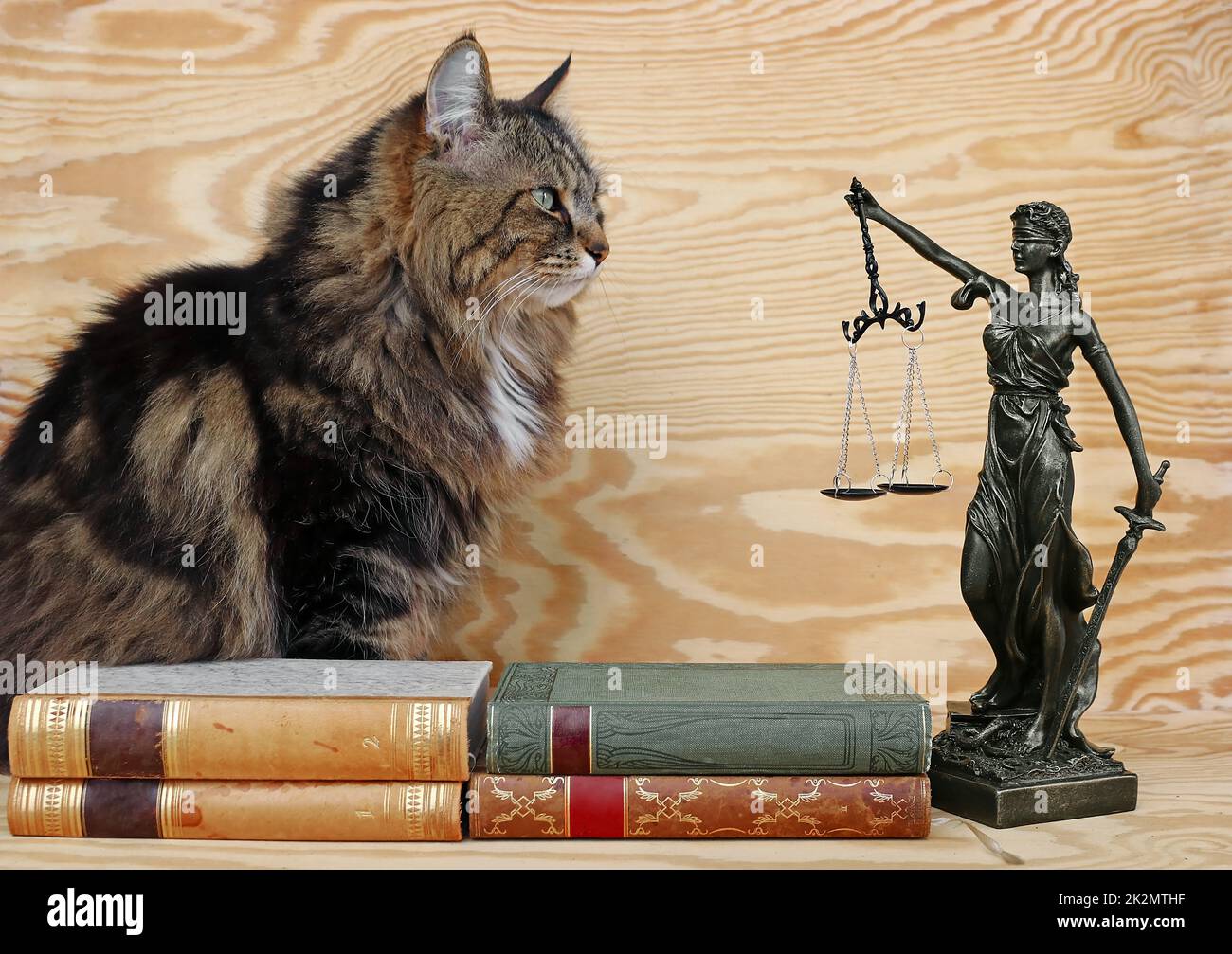 Die Rechte der Tiere. Eine Katze und eine Justitia-Figur mit Büchern auf einem hölzernen Hintergrund Stockfoto