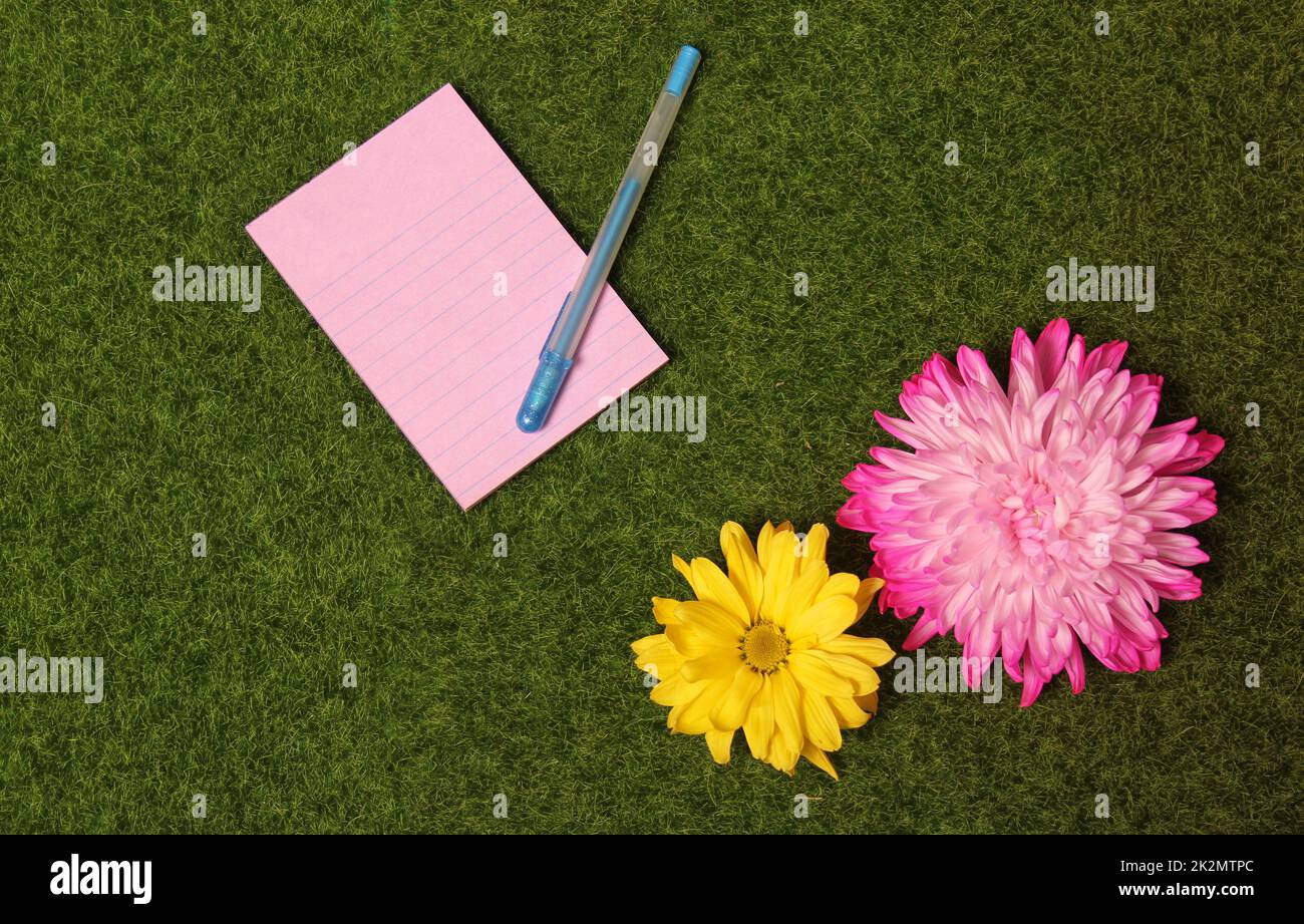 Leeres Notizpapier auf grünem Grashintergrund mit bunten Blumen Stockfoto