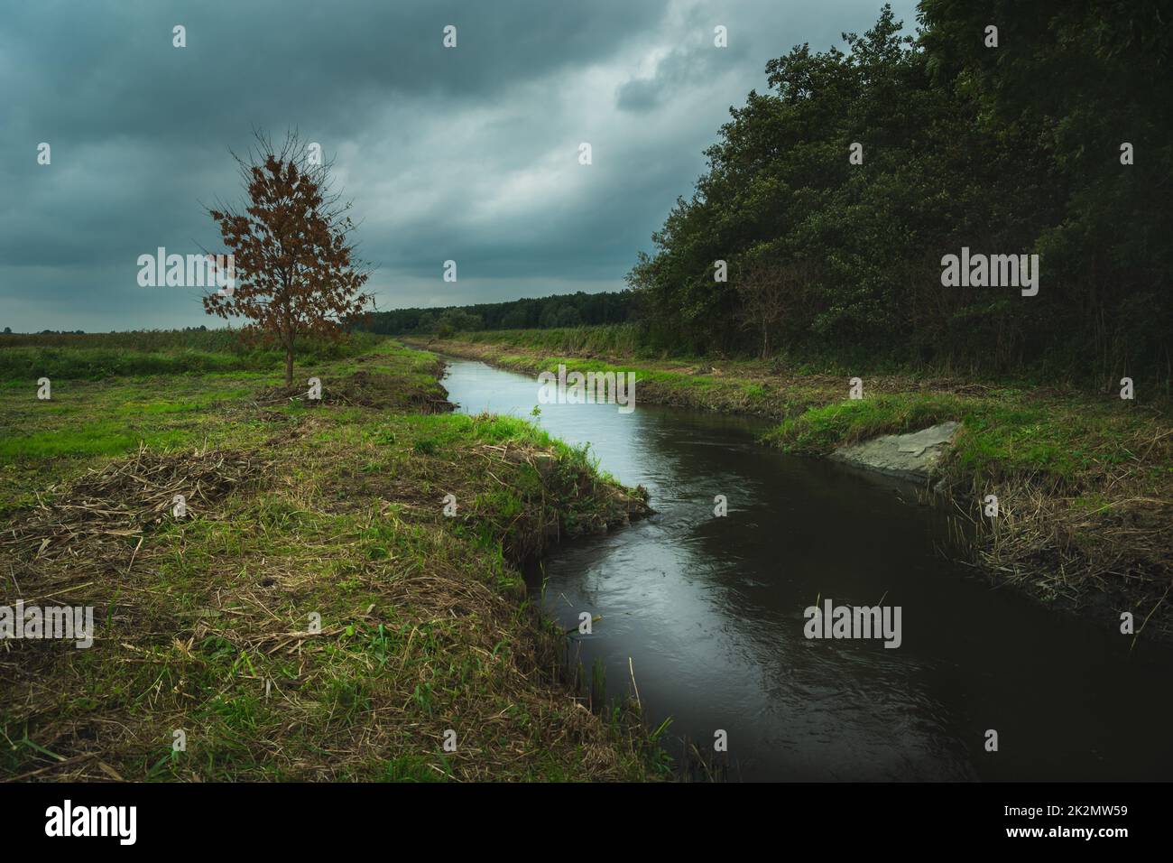 Ein kleiner Fluss in der Nähe des Waldes, ein Blick an einem bewölkten Tag Stockfoto