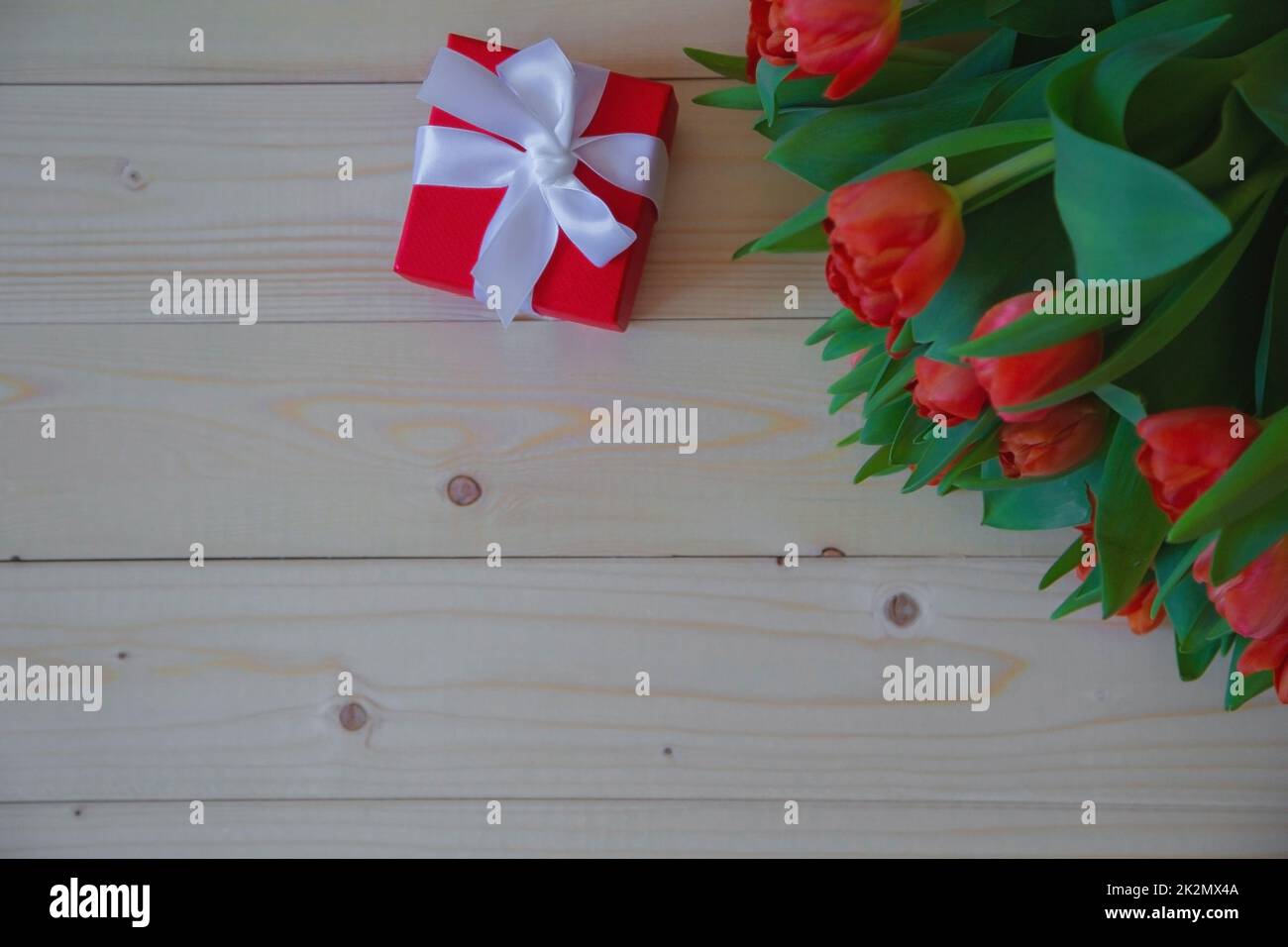 Pinke Tulpen mit grünen Blättern liegen in der oberen Ecke auf einem Holzhintergrund und daneben ist ein Geschenk in einem roten Paket mit Schleife. Stockfoto