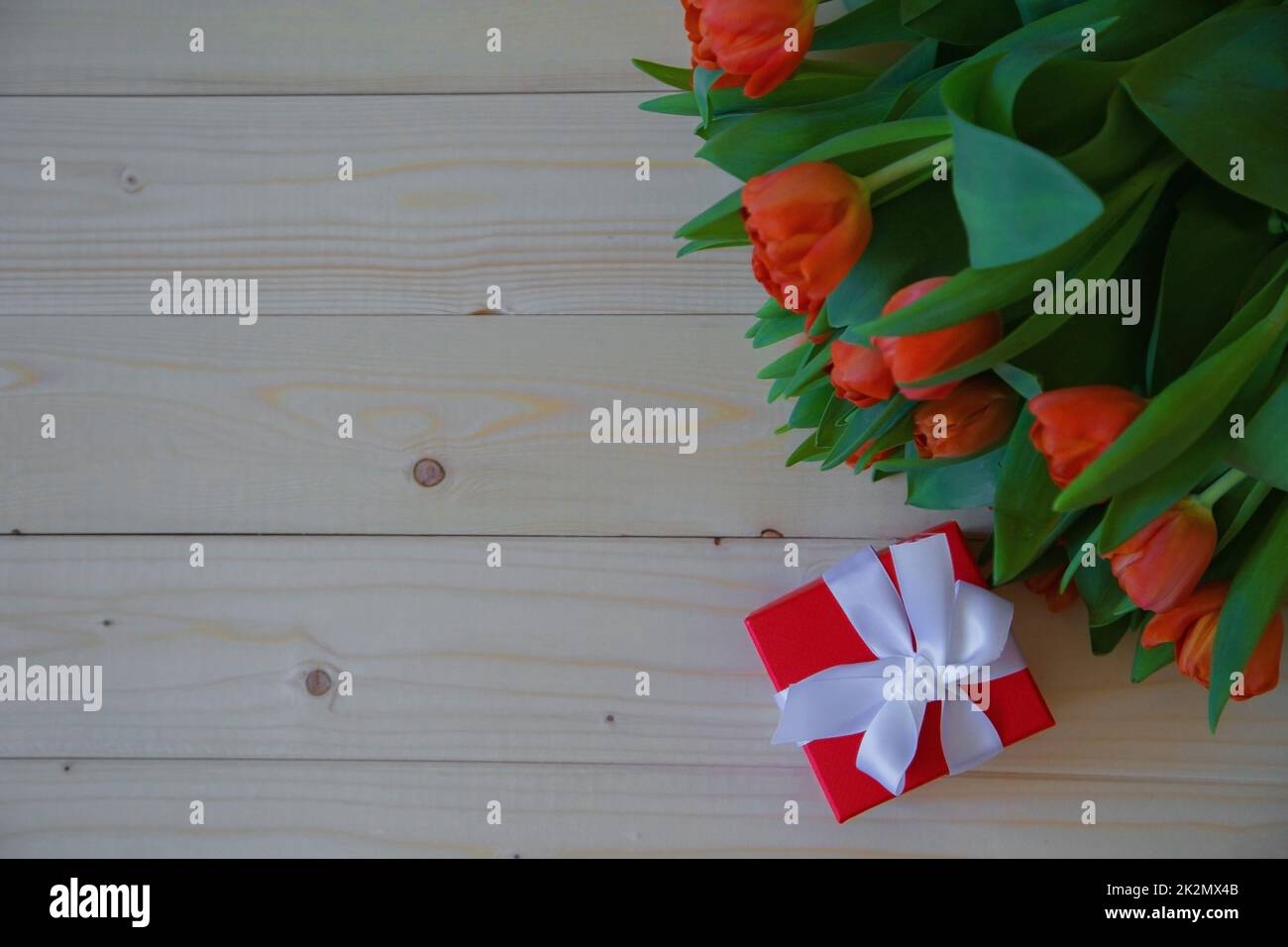 Pinke Tulpen mit grünen Blättern liegen in der oberen Ecke auf einem Holzhintergrund und daneben ist ein Geschenk in einem roten Paket mit Schleife. Stockfoto