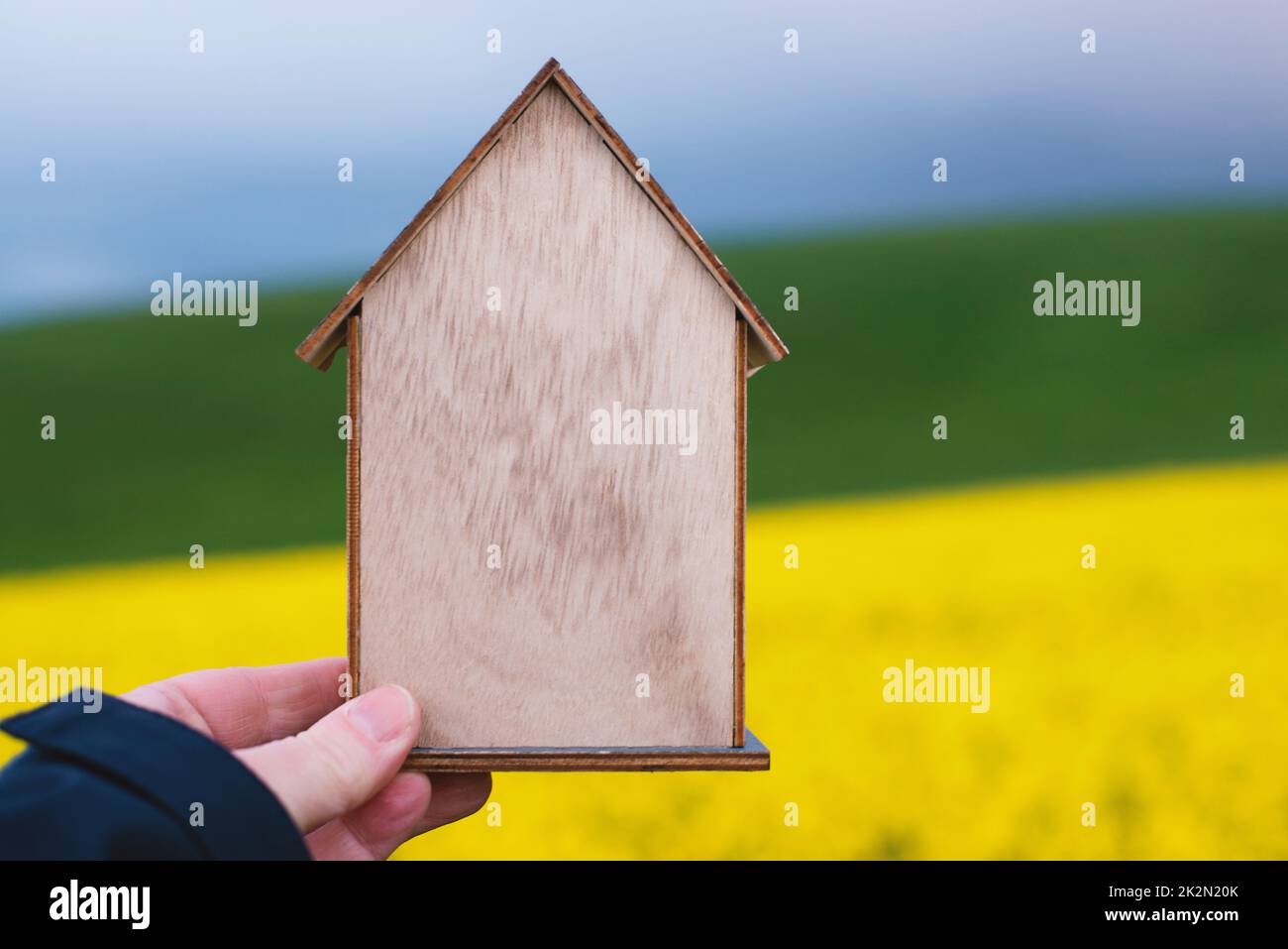 Holzhaus auf einer Wiese, ein Haus in der Natur kaufen oder mieten, Immobilienkonzept, Haus für Urlaub buchen, Platz für Text kopieren Stockfoto