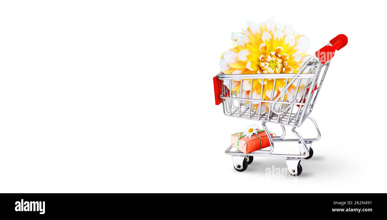 Mini-Warenkorb mit bunten Blumen und Schmetterlingen. Stockfoto