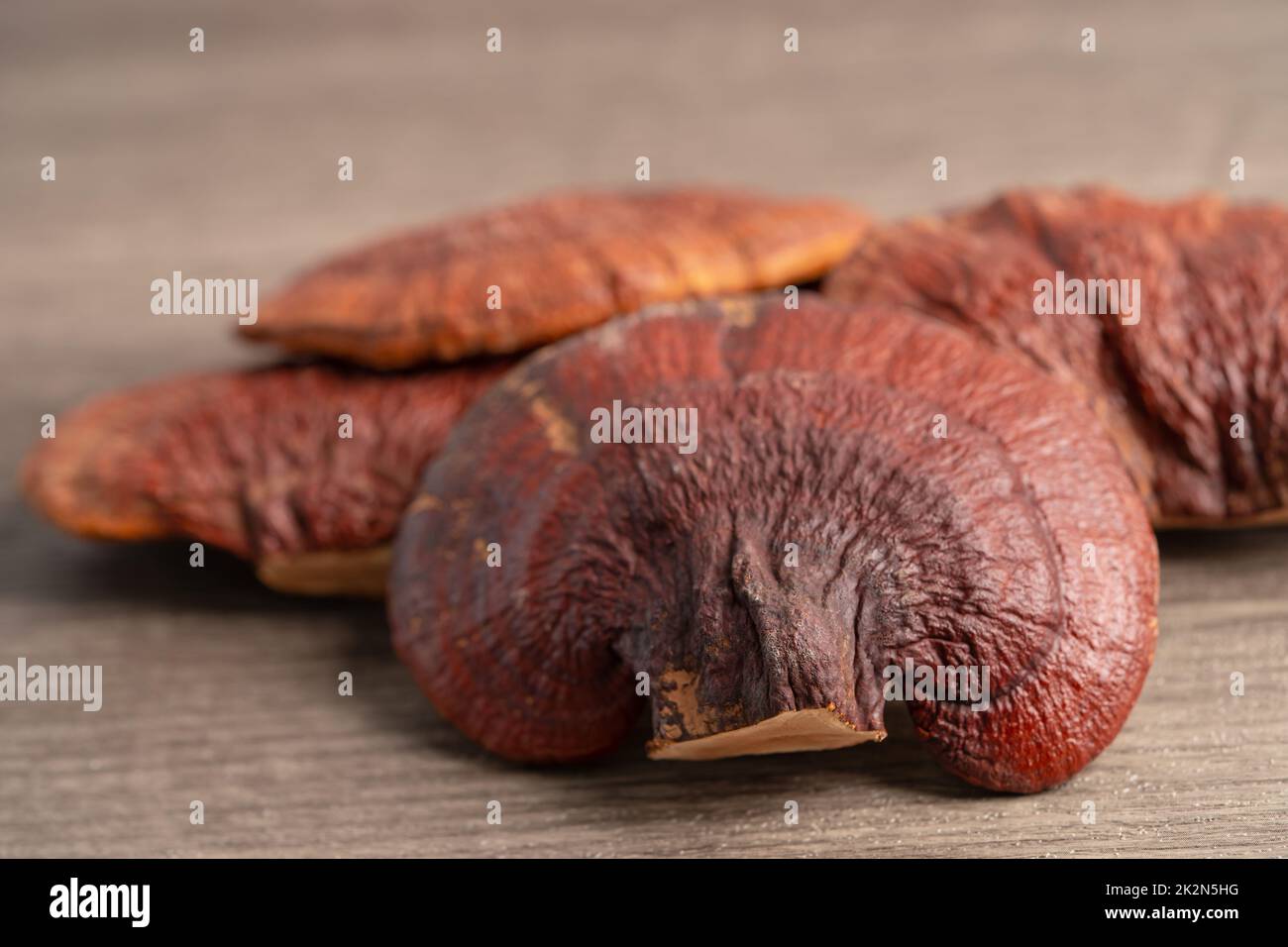 Getrockneter Lingzhi-Pilz auf hölzernem Hintergrund, gesundes Kräuterfutter. Stockfoto