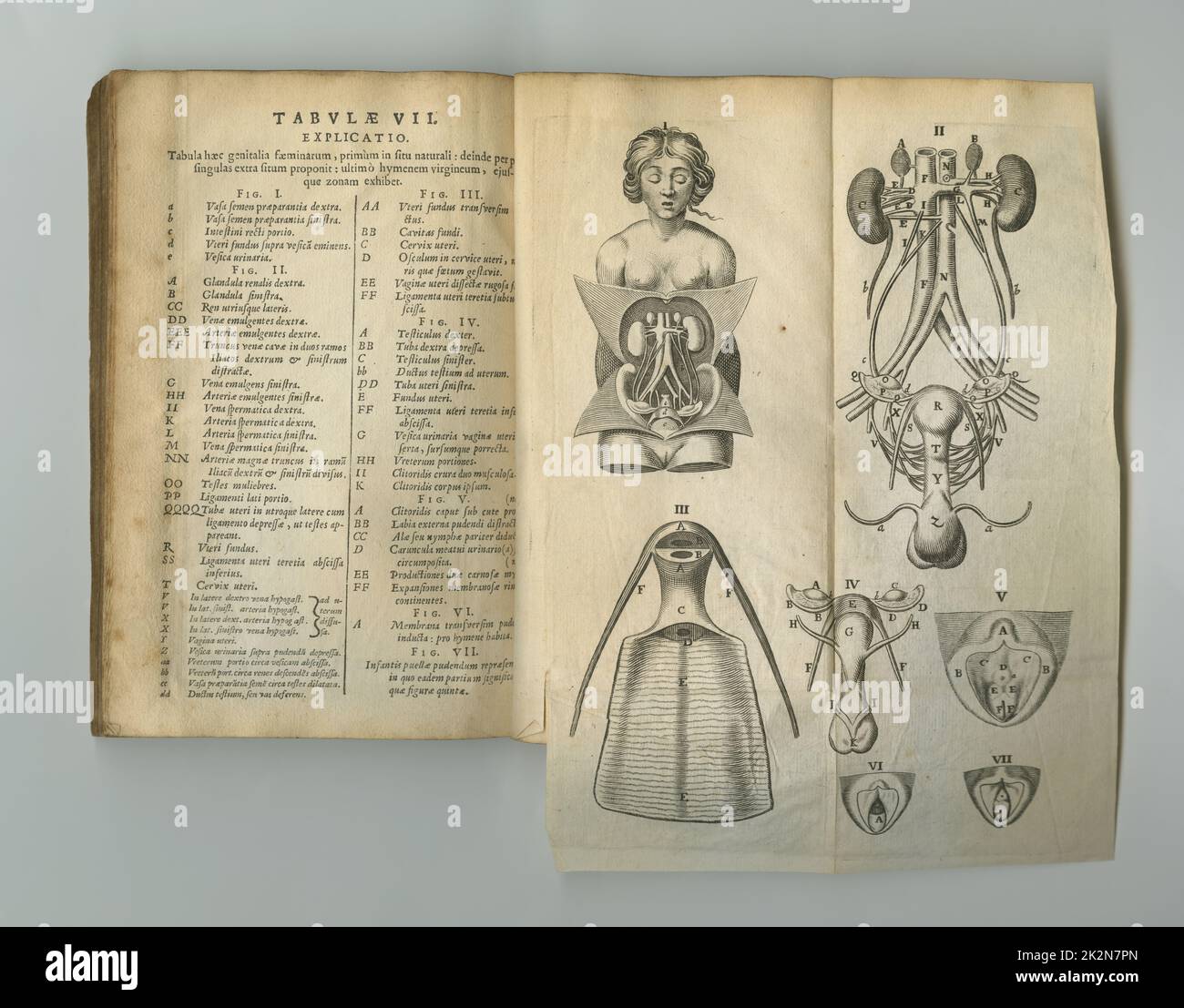 Medizinische Zeitschrift. Ein altes Anatomiebuch mit seinen Seiten auf dem Display. Stockfoto