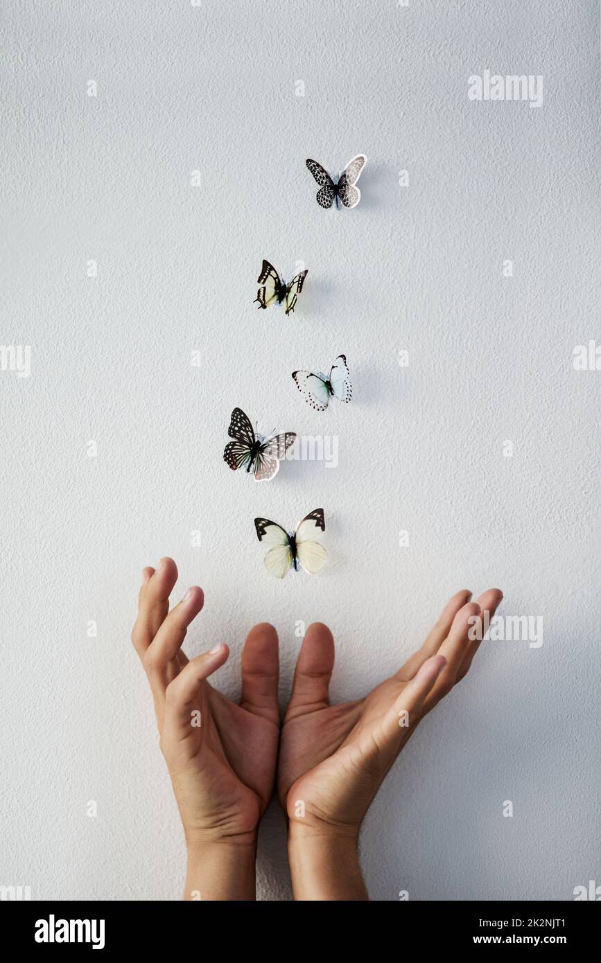 Das Leben ist magisch. Studio-Aufnahme einer nicht erkennbaren Person Hand loslassen Schmetterlinge in die Luft auf einem grauen Hintergrund. Stockfoto