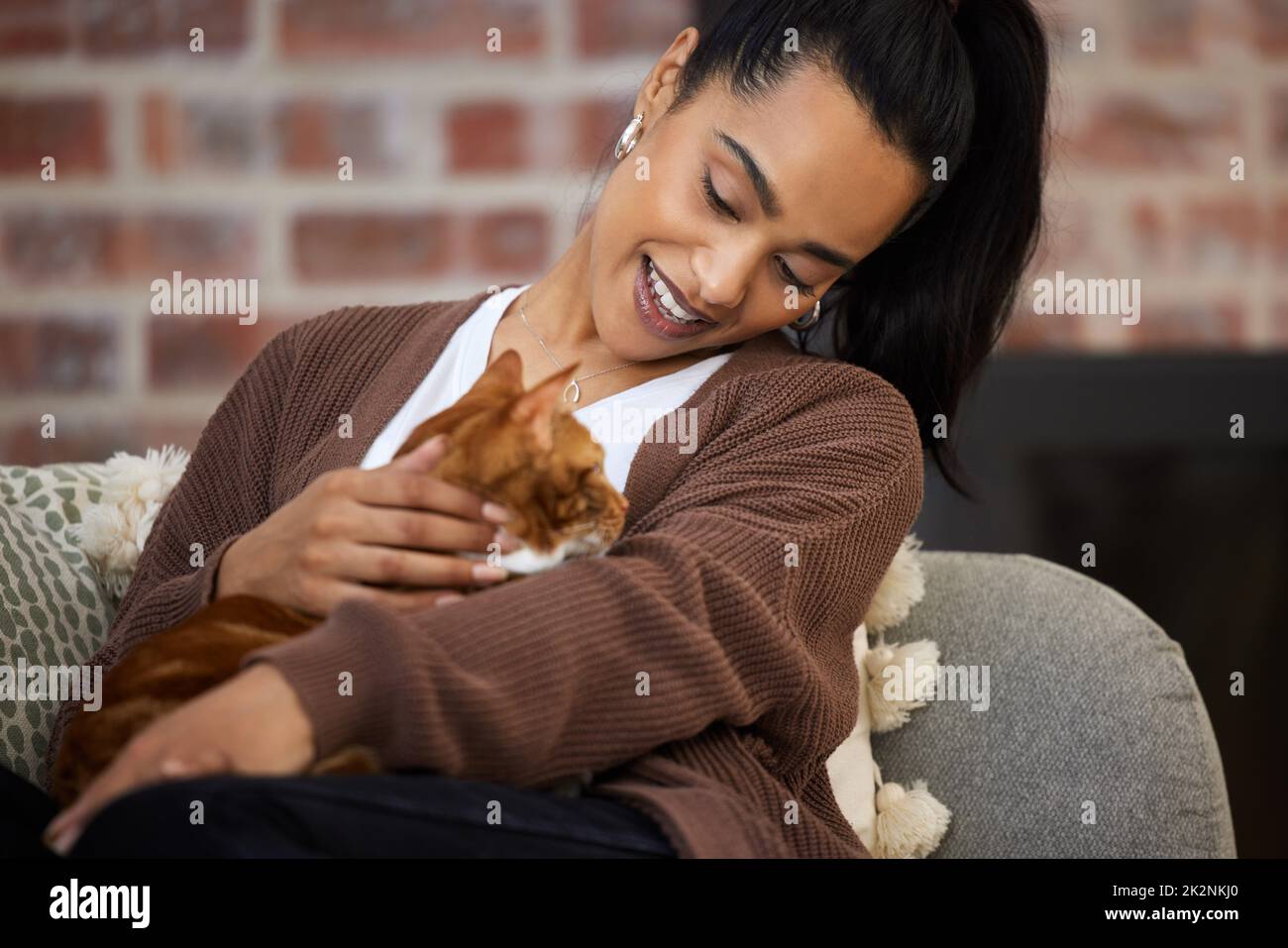 Glück bedeutet, eine Katze als Freund zu haben. Aufnahme einer jungen Frau, die sich zu Hause mit ihrer Katze anklebte. Stockfoto