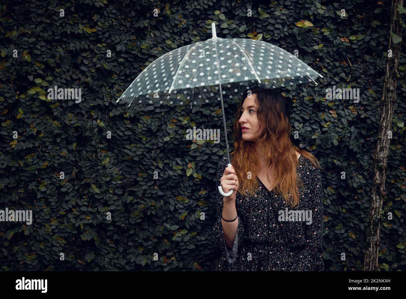 Aus Liebe zum Regen, aus Liebe zur Natur. Kurzer Schuss einer schönen jungen Frau, die einen Regenschirm draußen hält. Stockfoto