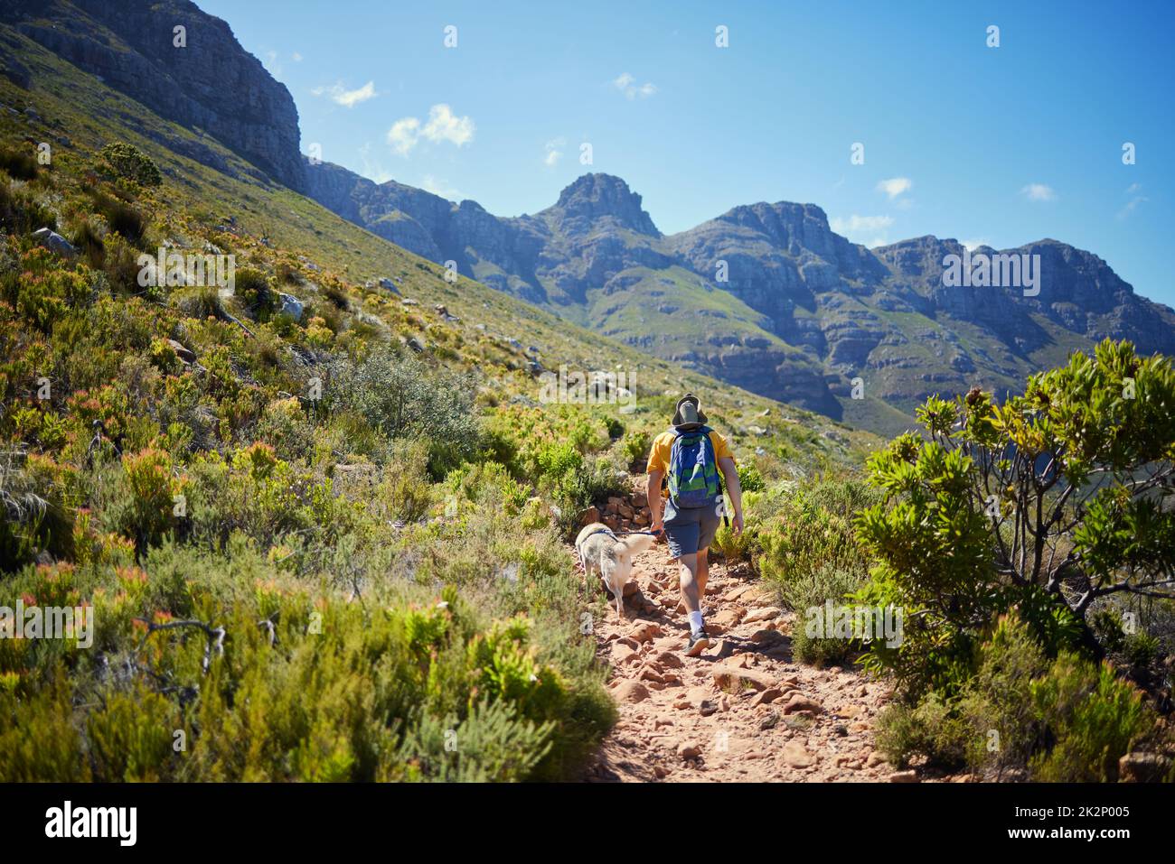 Am frühen Morgen wurden Wanderungen gemacht. Rückansicht eines nicht erkennbaren jungen Mannes, der seinen Hund auf eine morgendliche Wanderung in den Bergen mitnimmt. Stockfoto