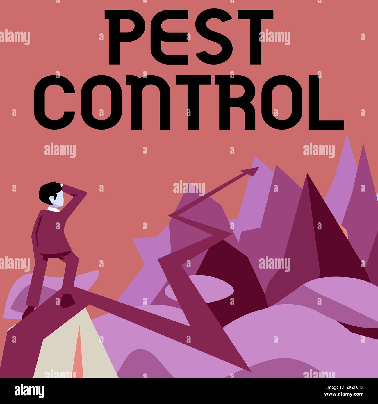 Handgeschriebenes Schild Pest Control. Unternehmensübersicht das Töten zerstörerischer Insekten, die Ernte und Vieh angreifen Mann beobachtet den Horizont-Pfeil, der auf zukünftigen Projekterfolg hinweist. Stockfoto
