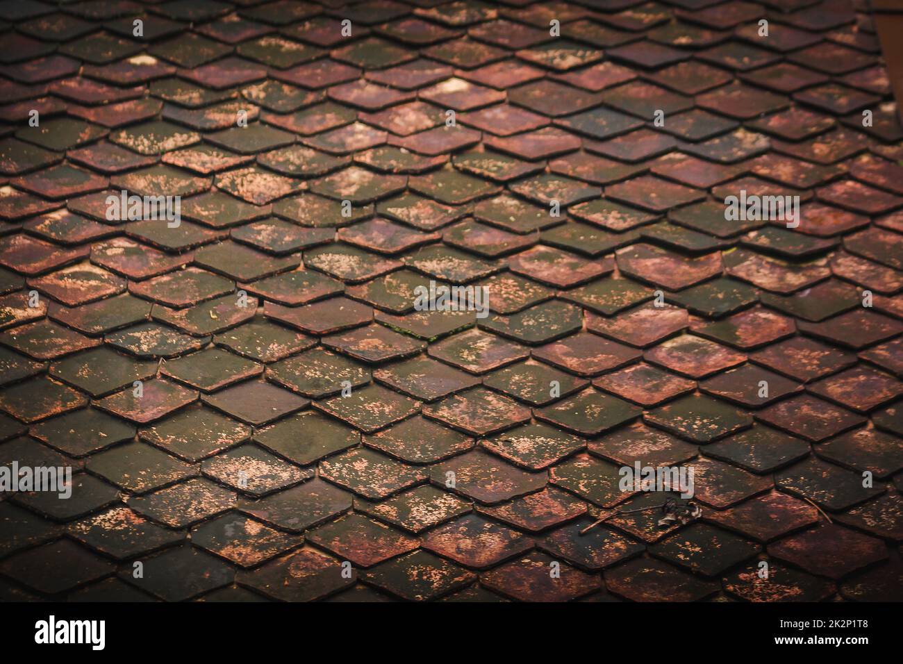 Alte Lehmziegel auf dem Dach mit Moos Stockfoto