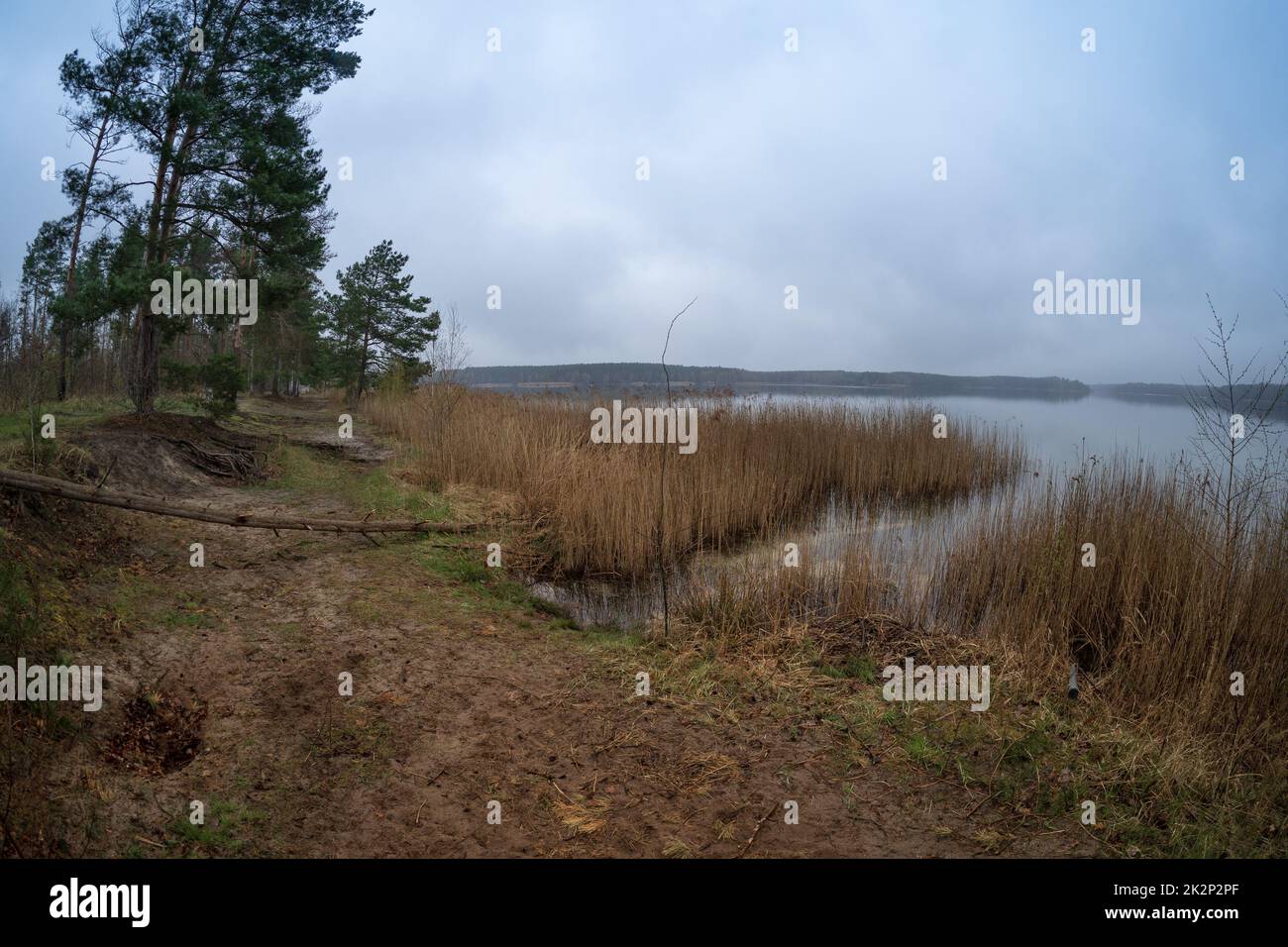 Natürliche Landschaft. Lake Senftenberg bei bewölktem Wetter. Bundesland Brandenburg. Deutschland. Stockfoto