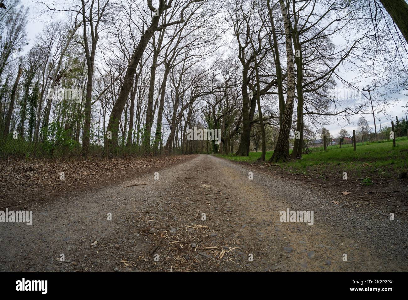 Der unbefestigte Weg, der in die Ferne führt. Stockfoto