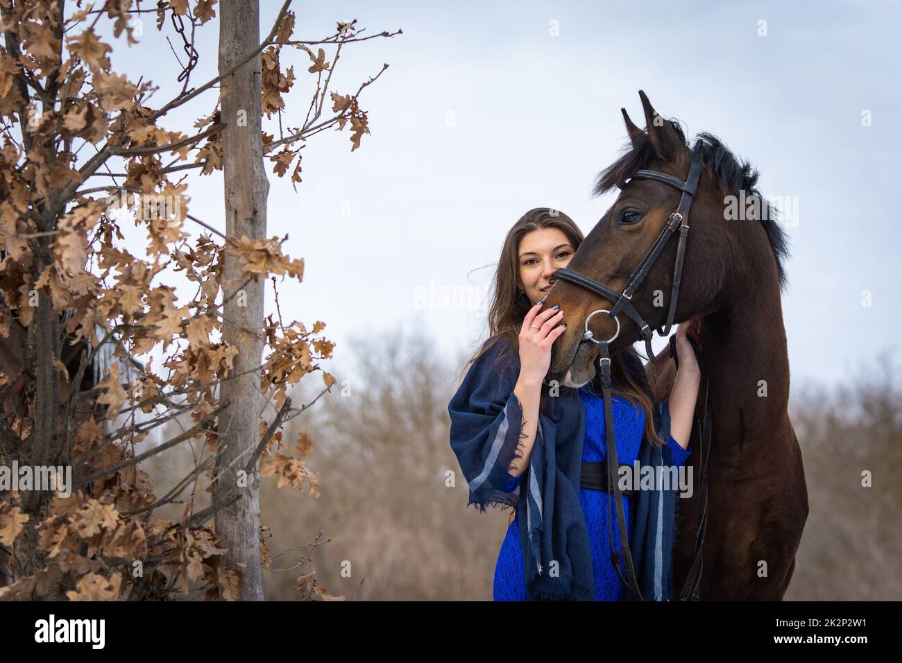 Das Mädchen späht hinter der Schnauze eines Pferdes, im Hintergrund ein Herbstwald Stockfoto