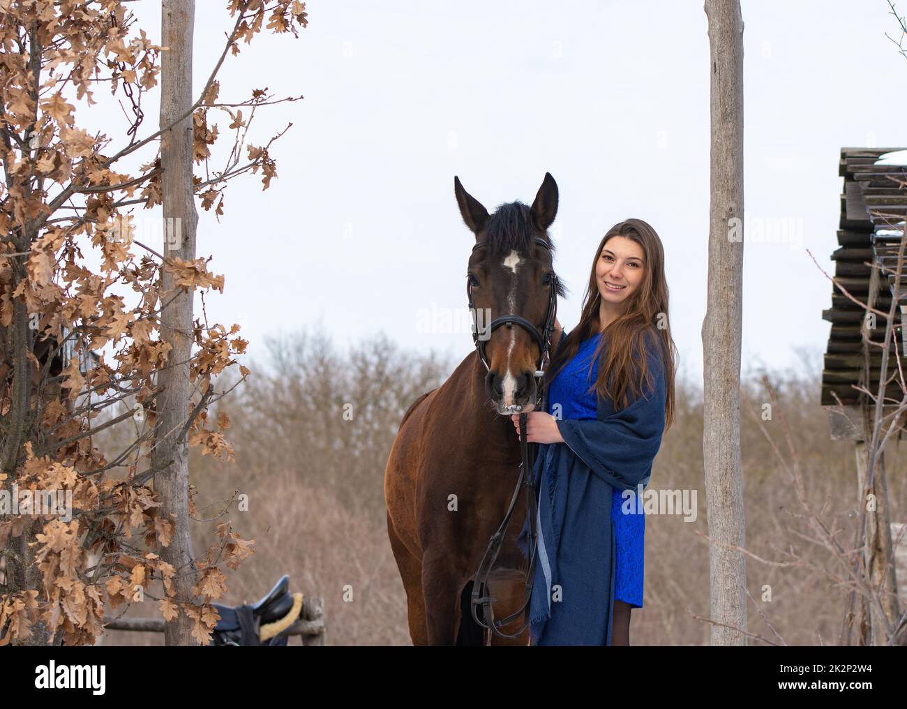 Ein Mädchen in einem blauen Kleid und ein Pferd auf dem Hintergrund eines Winterwaldes Stockfoto