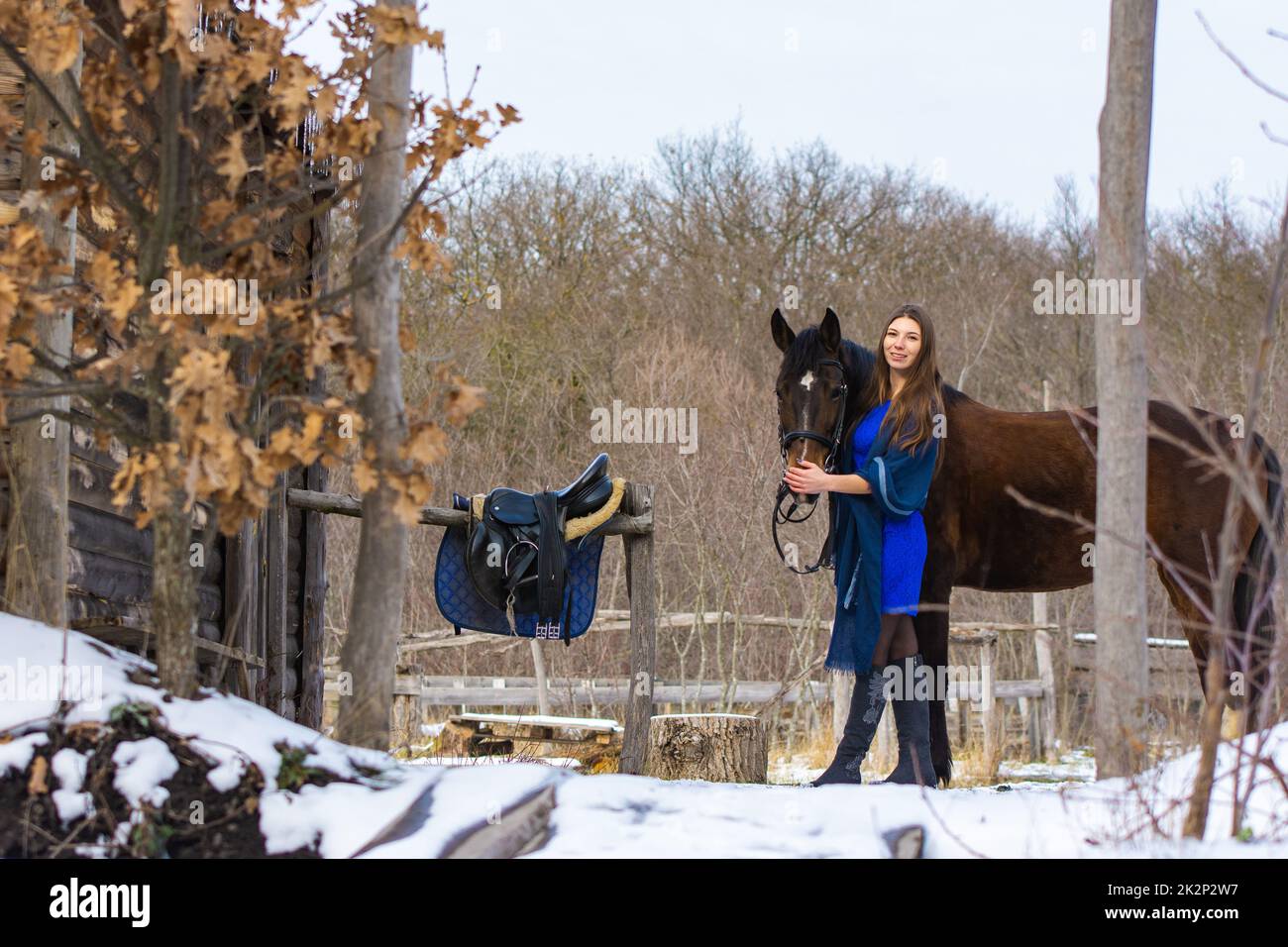 Ein Mädchen in blauem Kleid geht im Winter mit einem Pferd durch einen Bauernhof Stockfoto