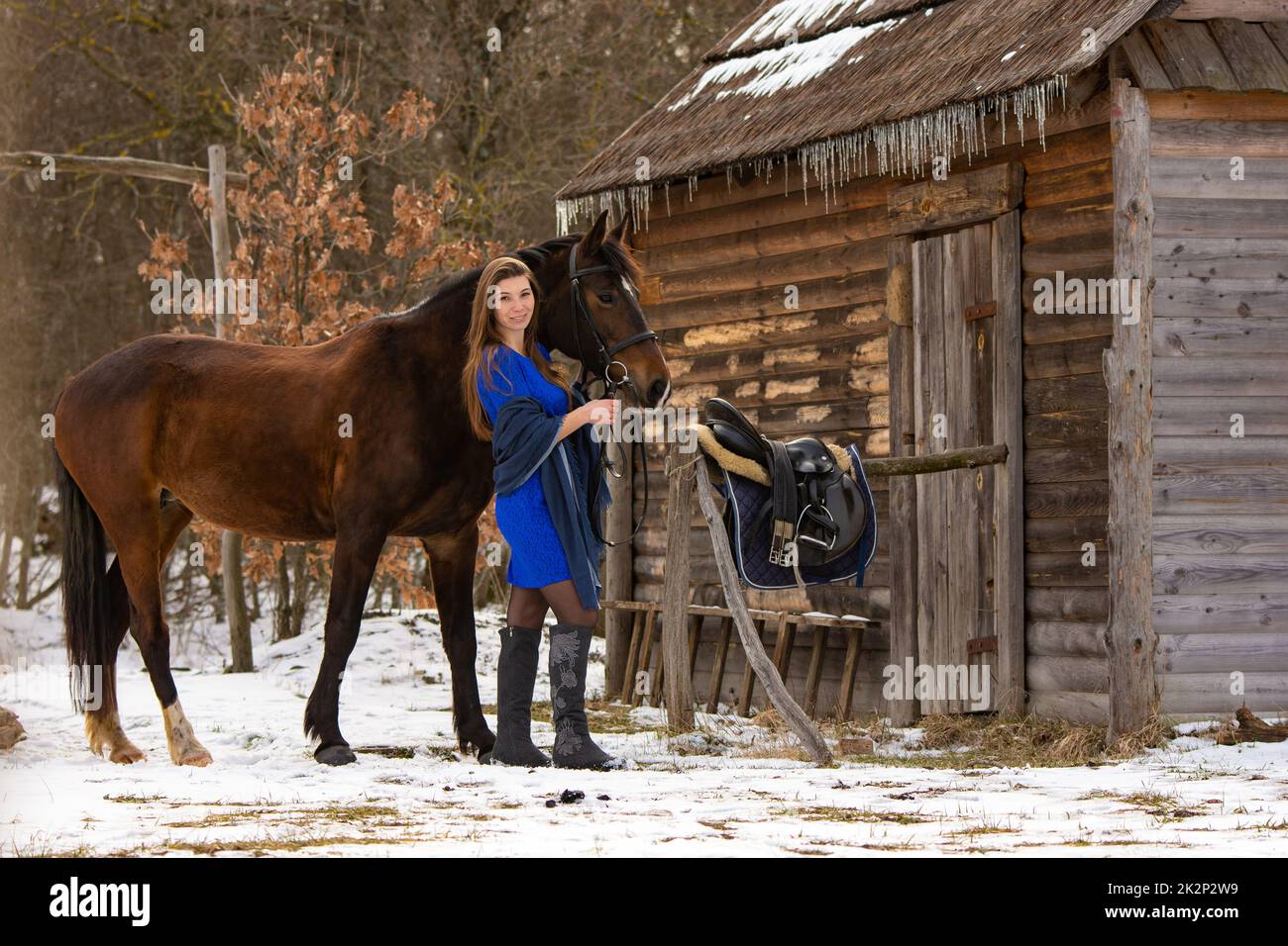 Ein schönes Mädchen in einem kurzen blauen Kleid steht mit einem Pferd aus einem alten Holzhaus Stockfoto