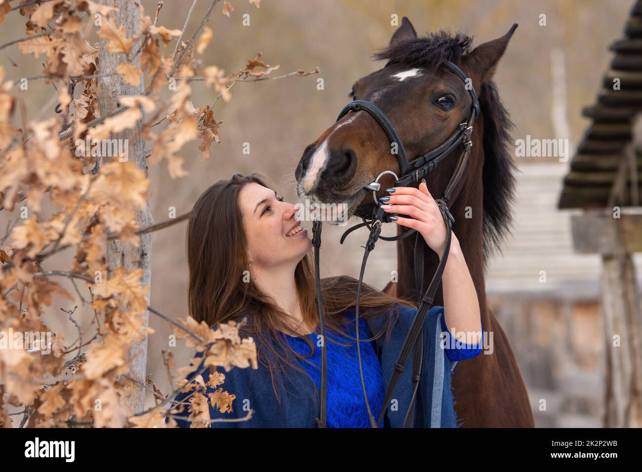 Nahaufnahme eines Pferdes und eines schönen Mädchens mit slawischem Aussehen Stockfoto