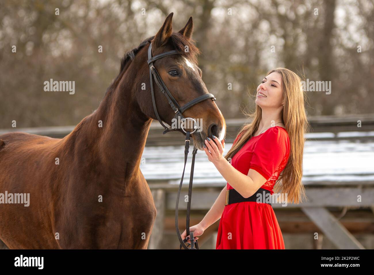 Ein schönes Mädchen in einem roten Kleid streichelt ein Pferd in die Strahlen der untergehenden Sonne Stockfoto