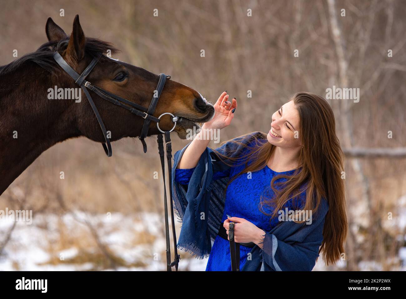 Glückliches Mädchen spielt mit Pferd, Pferd zeigt Zähne, Nahaufnahme Porträt Stockfoto