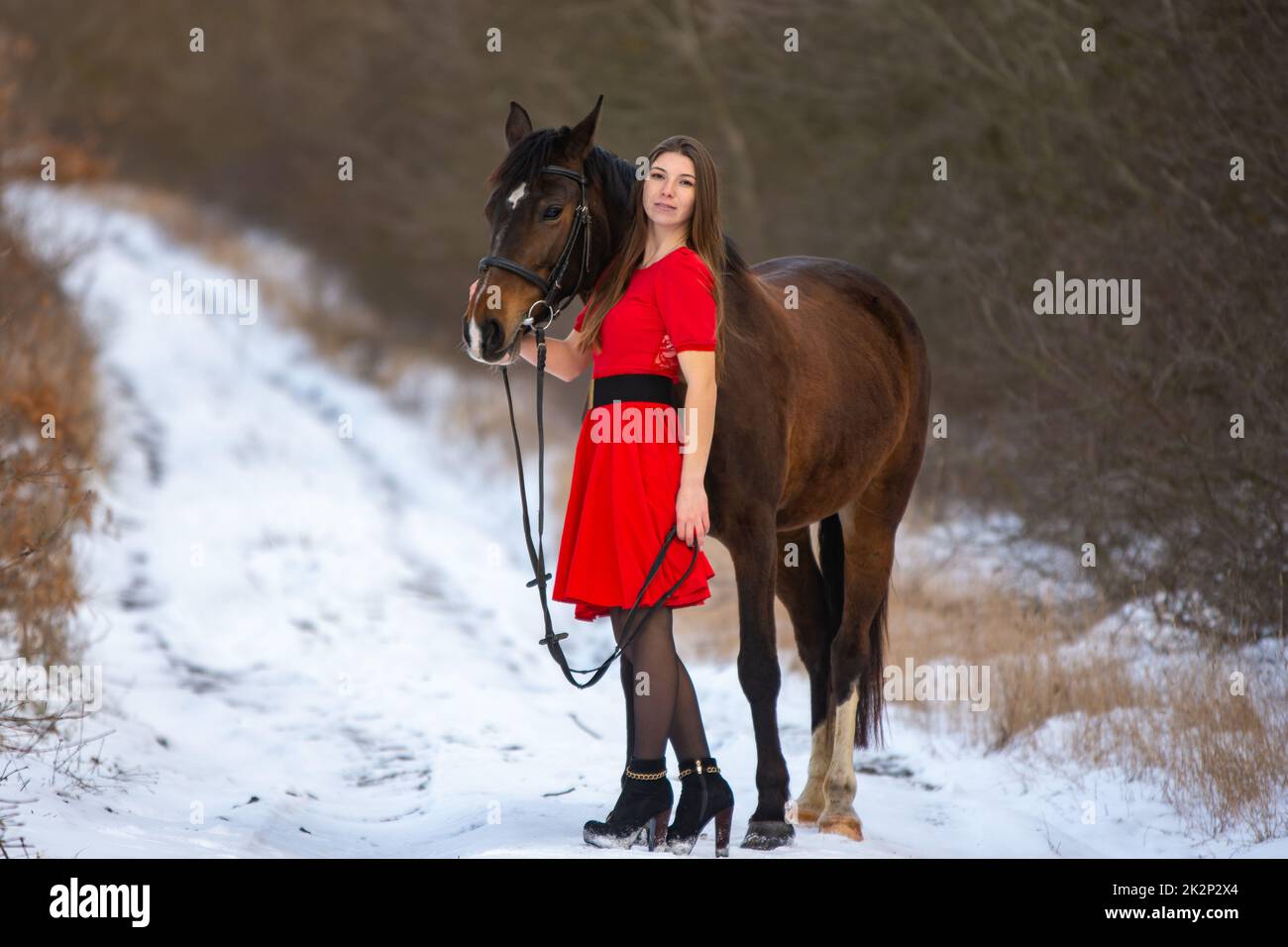 Ein hübsches Mädchen in einem roten Kleid steht mit einem Pferd vor dem Hintergrund eines Winterwaldes und einer Straße, das Mädchen umarmt das Pferd und schaut in den Rahmen Stockfoto