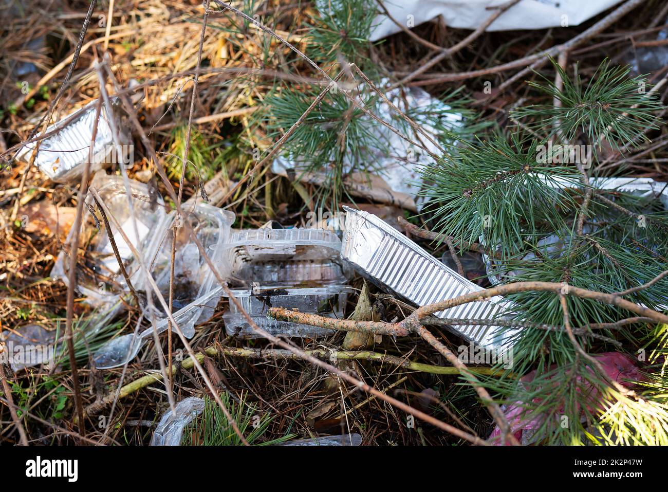 Viele Einwegbehälter aus Kunststoff, Abfall liegt in einer dicken Schicht in der Wildnis und zieht Vögel und Nagetiere an. Umweltverschmutzung. Stockfoto