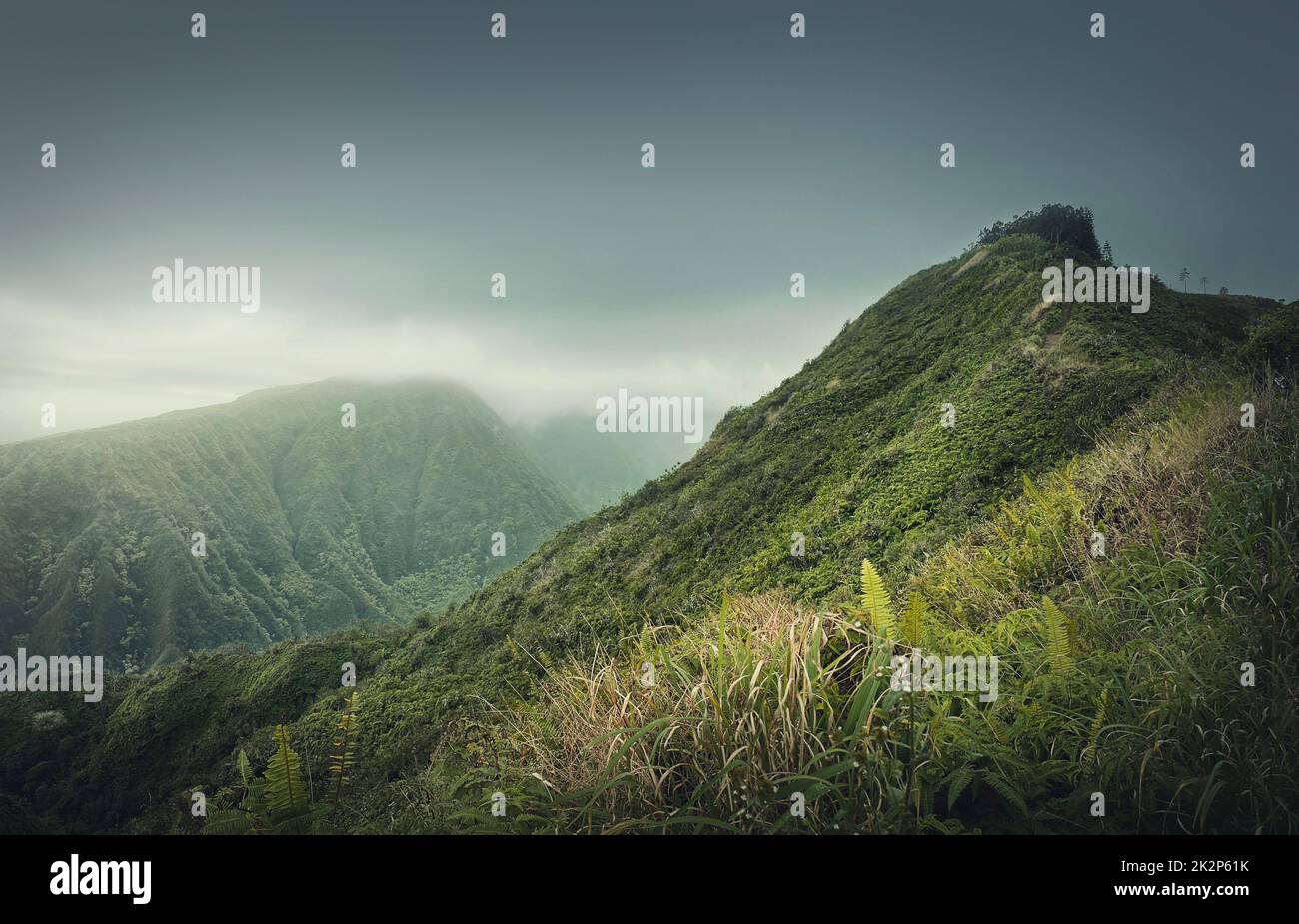 Wunderschöne Aussicht auf die grünen Hügel auf Hawaii, Insel Oahu. Wanderlandschaft in den Bergen mit lebhafter tropischer Vegetation. Mürrisches Wetter mit nebligen Wolken über dem Tal Stockfoto