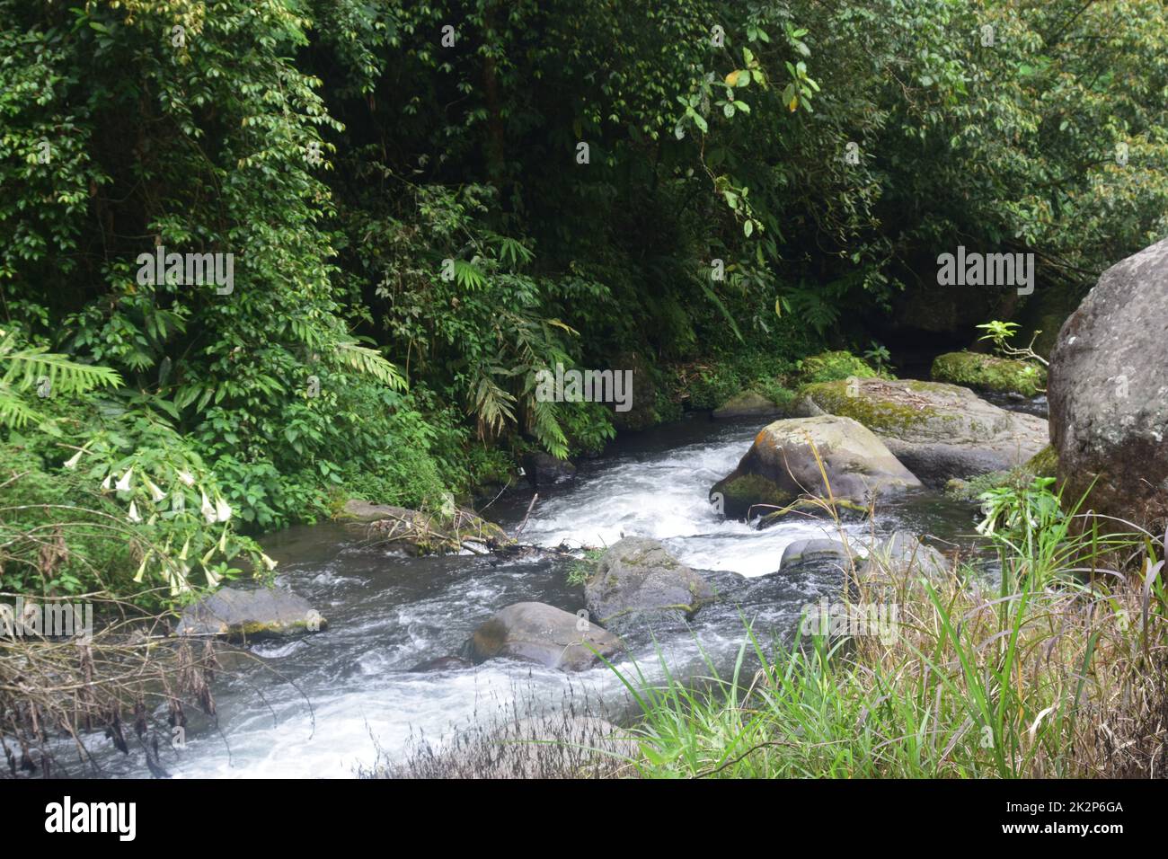 Wasser fließt in den Fluss. Natürliche Fotografie Stockfoto