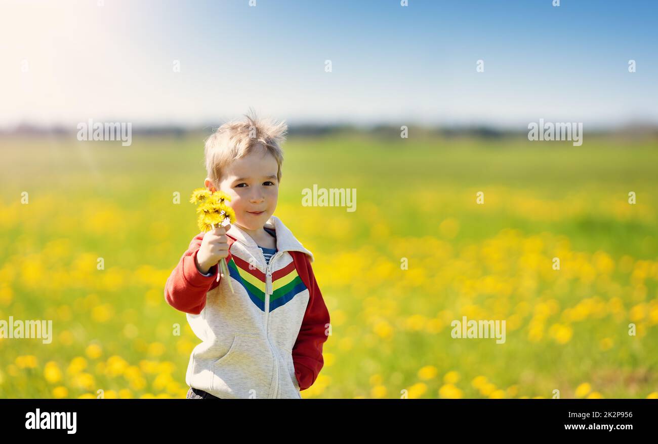 Niedliches Kind, das im Freien in der Natur mit einem Haufen von Elendelionen steht Stockfoto