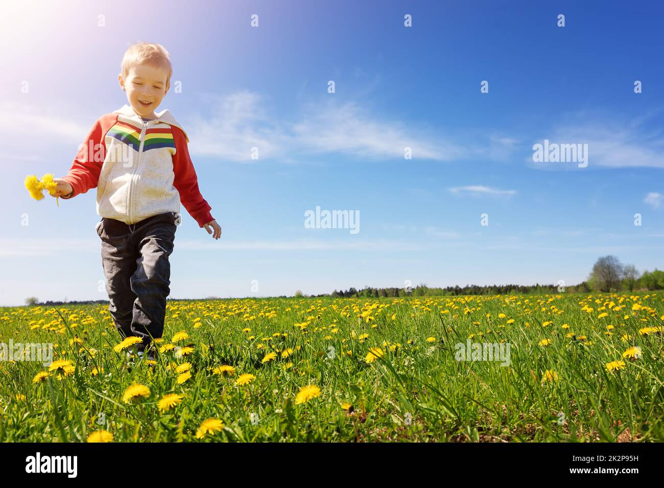 Niedliches Kind, das draußen in der Natur mit einem Haufen von Elendelionen läuft Stockfoto