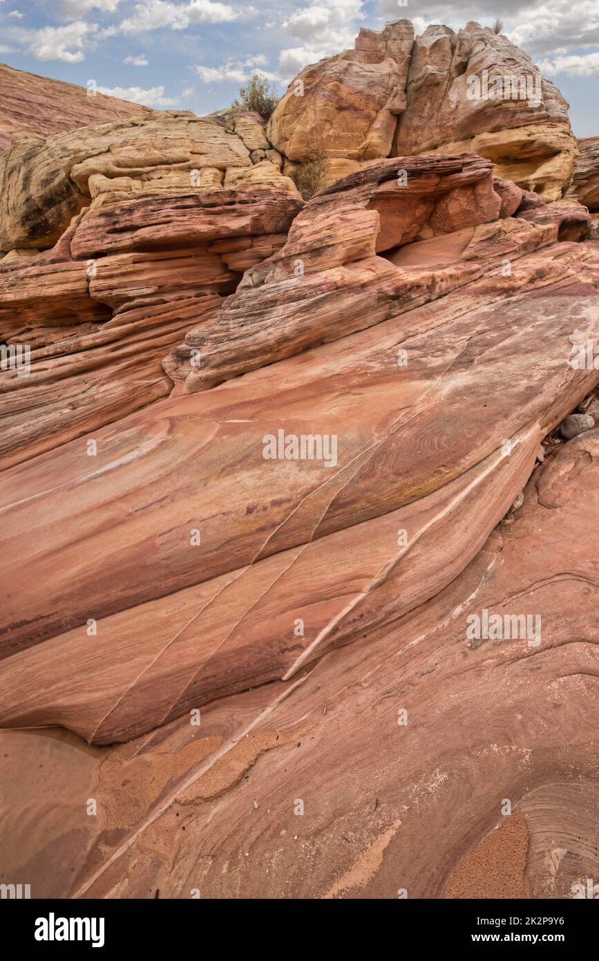 Tal des Feuers roter Felsen Stockfoto